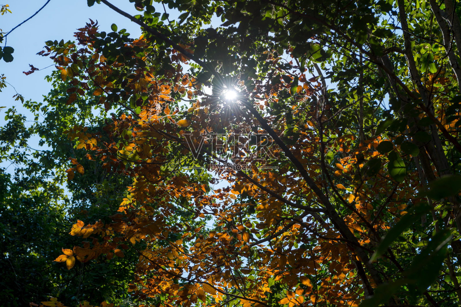 Pha Cho是泰国清迈湄王国家公园的高土壤峡谷悬崖。照片摄影图片