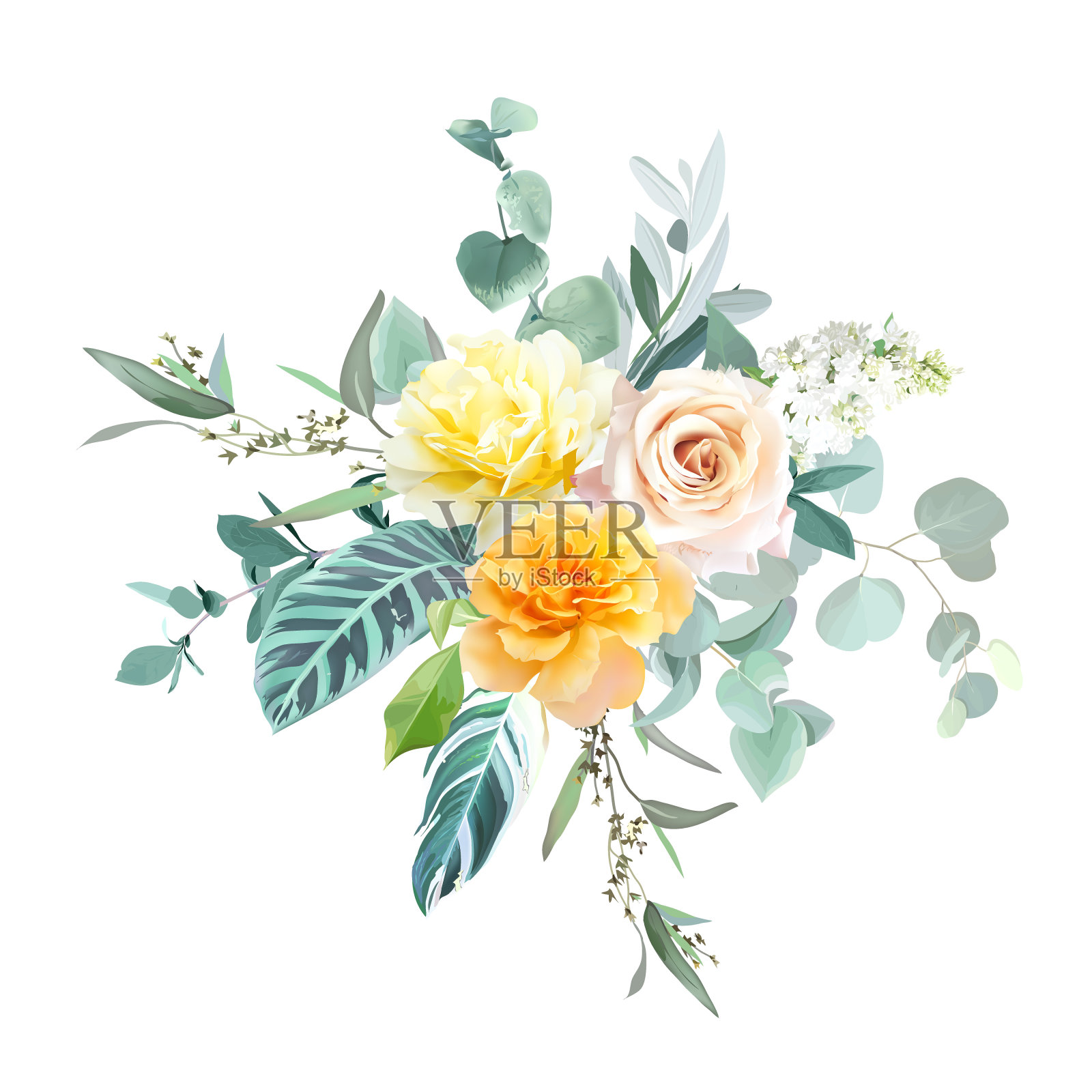 黄色和橙色的玫瑰，白色的丁香，春天的花园花，薄荷桉树，热带的叶子插画图片素材