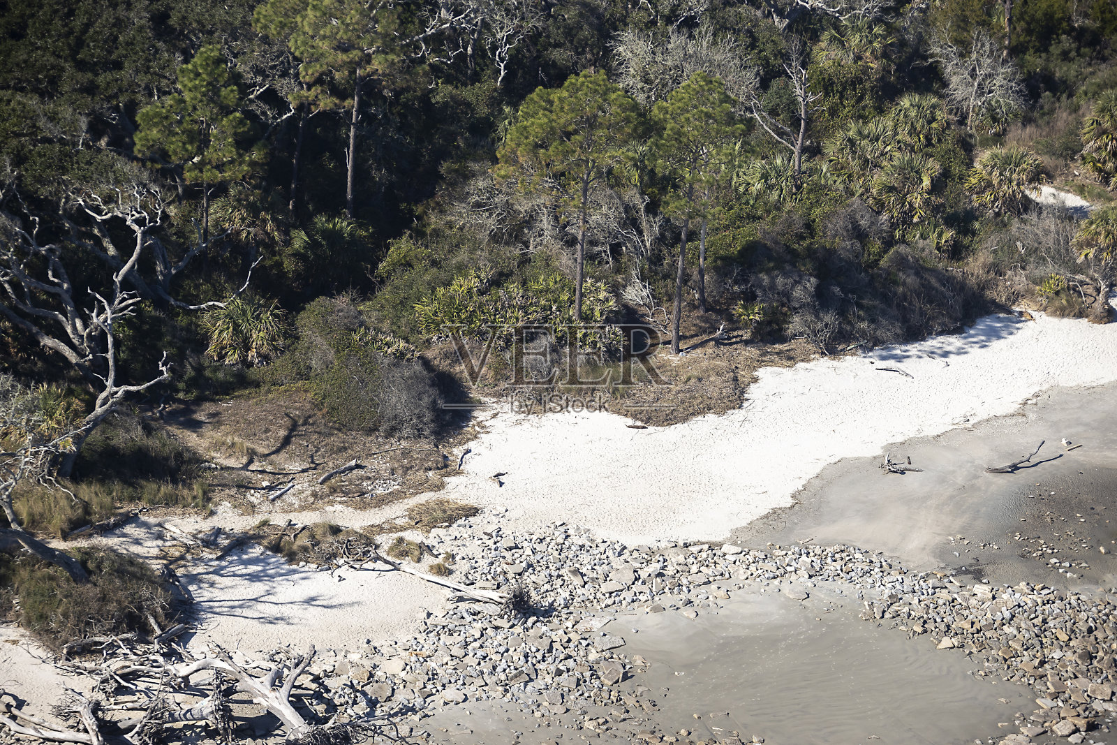浮木海滩照片摄影图片