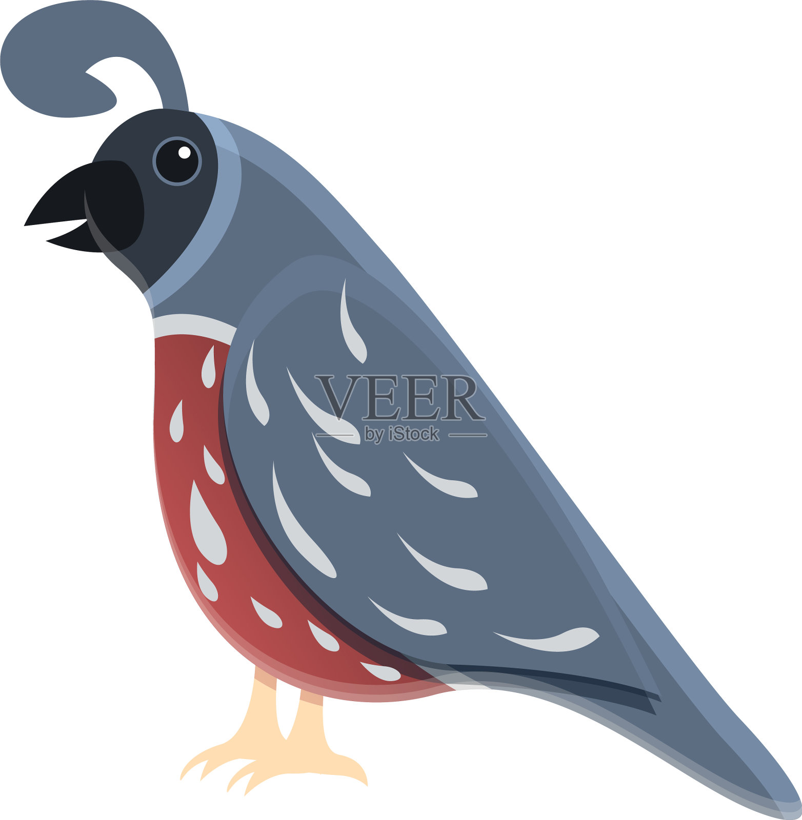 鸡鹌鹑图标卡通风格设计元素图片