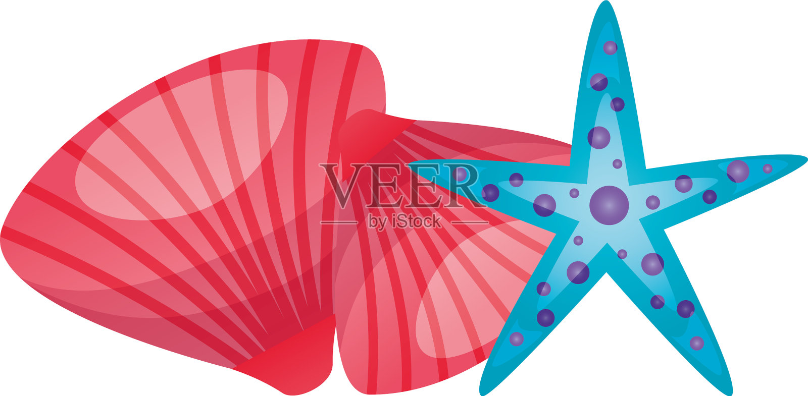 孤立的贝壳和星形设计设计元素图片