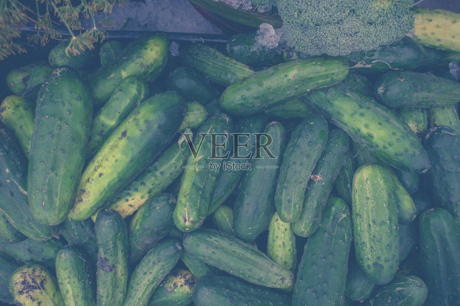 黄瓜照片摄影图片