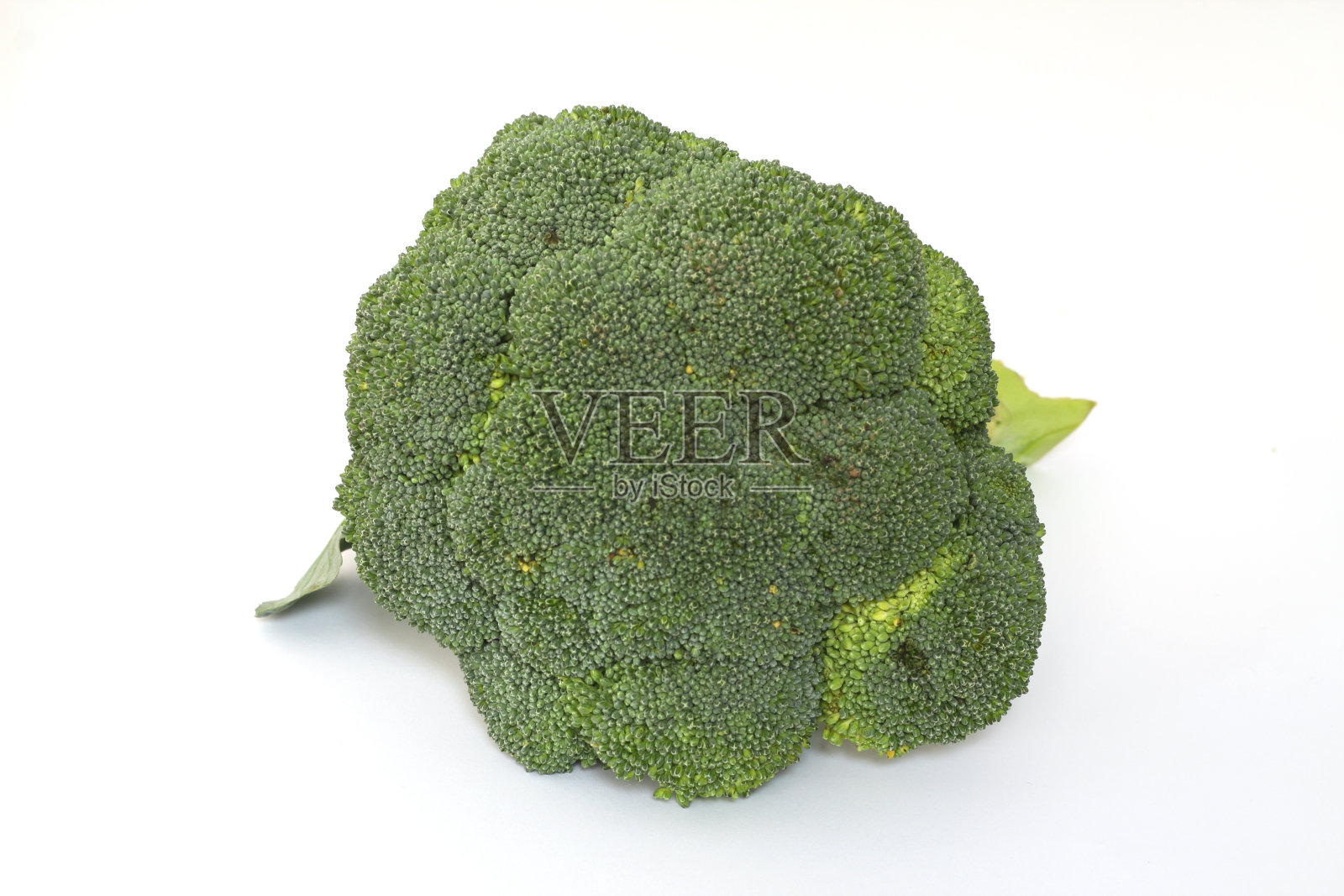 在白色背景上孤立的西兰花。生西兰花蔬菜合起来照片摄影图片