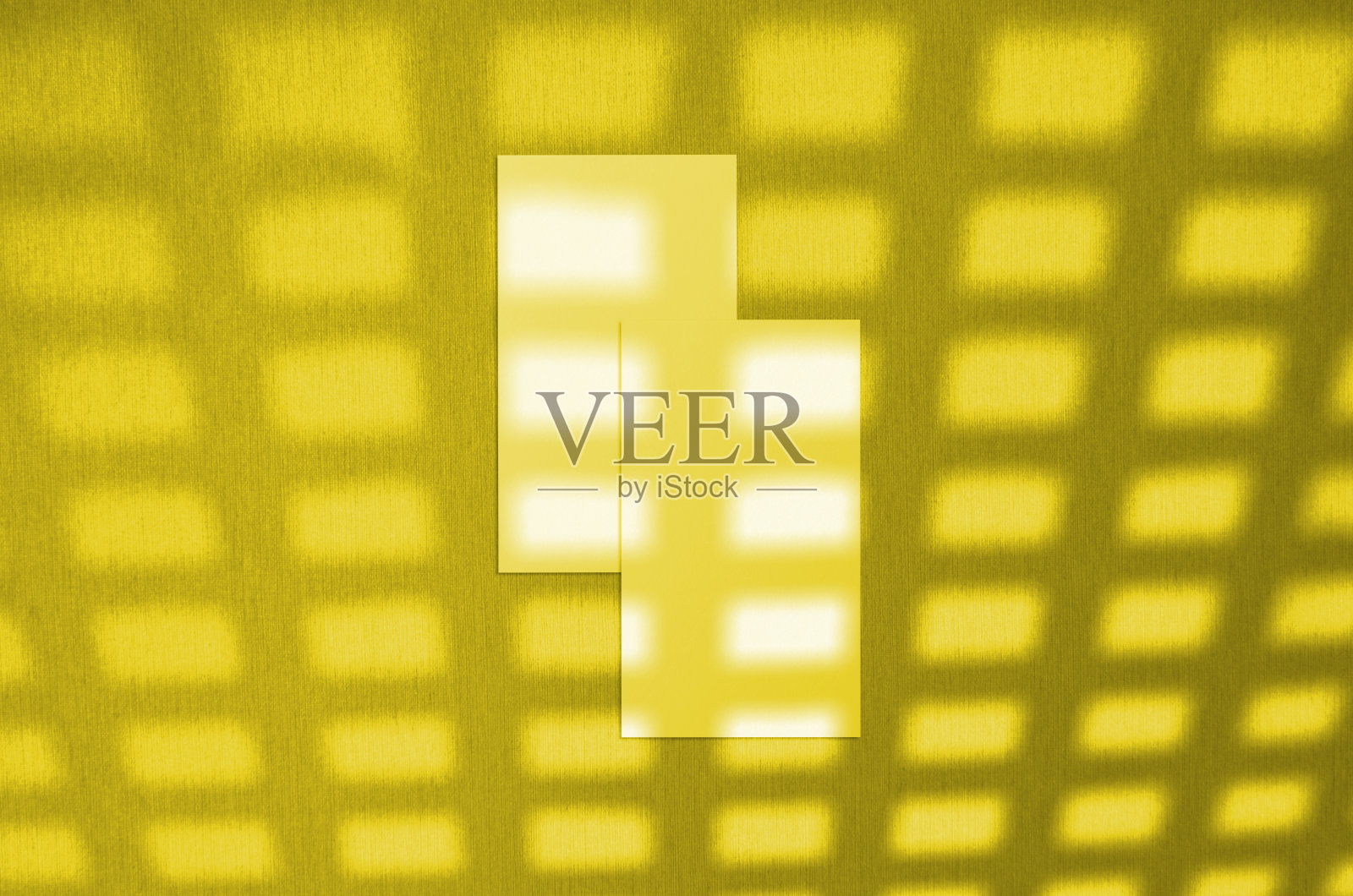 名片模型。照亮潘通的2021年色彩。自然叠加光线投射在树叶上。叶影的场景。照片摄影图片