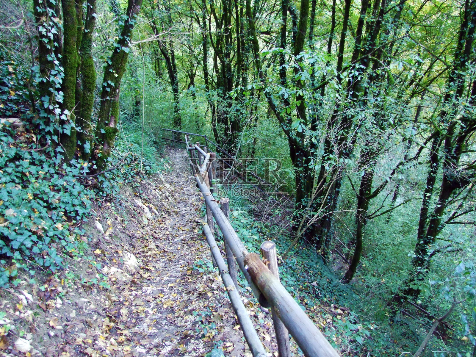 深渊前的帕津奇卡河峡谷和帕津洞穴 - 帕津，克罗地亚（坎琼·里耶克·帕津西斯前大屠杀前，帕津斯卡·贾马 - 帕津，赫瓦茨卡）照片摄影图片