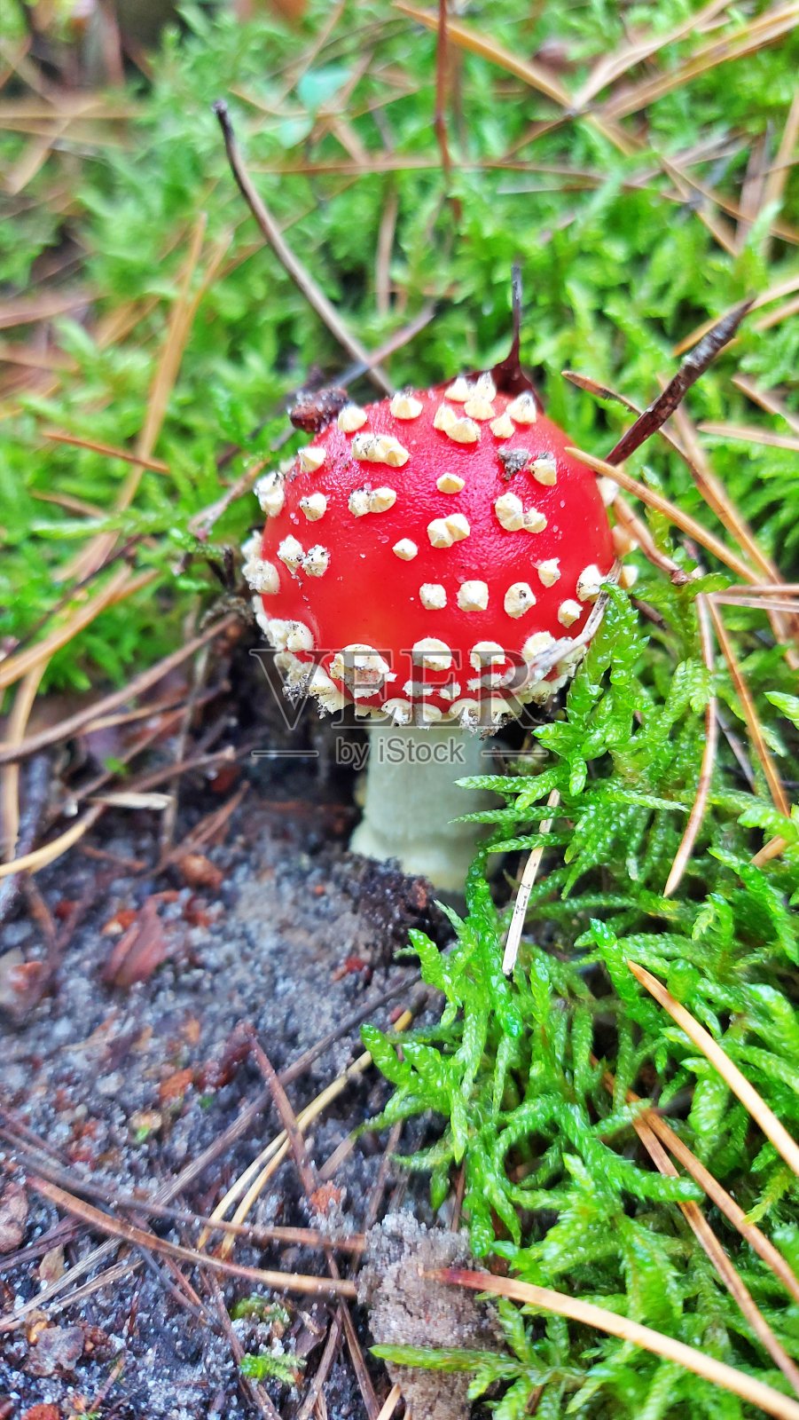 用点，就像画的那样照片摄影图片