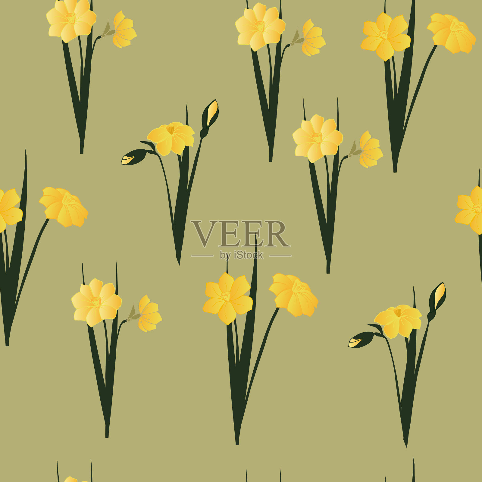 花卉草甸黄水仙花无缝矢量模式研究。春天的花。适用于设计、装饰、墙纸、纺织、制造、织物、家纺。插画图片素材