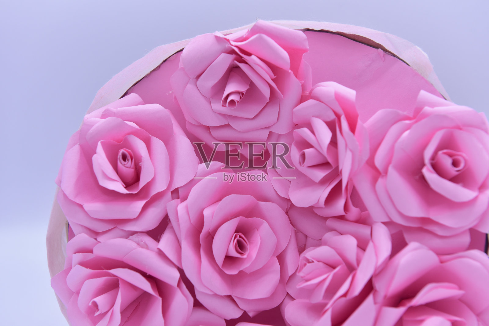 白色背景的毕业礼物照片摄影图片