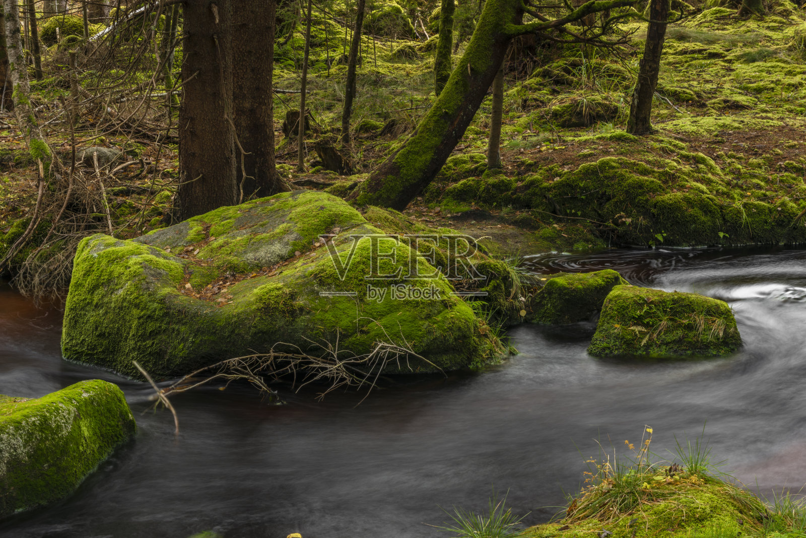 耶泽尔尼溪在秋天的早晨与红色的水和绿色美丽的石头照片摄影图片