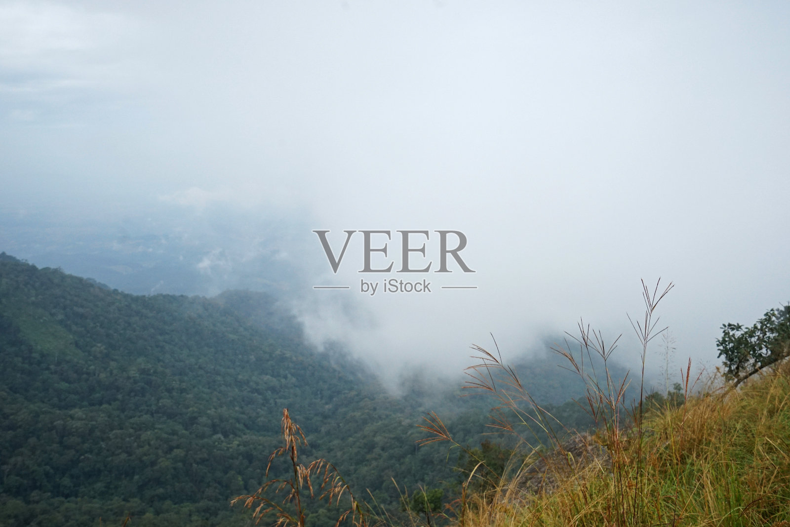 碧绿的山脉，阴天的自然景观照片摄影图片