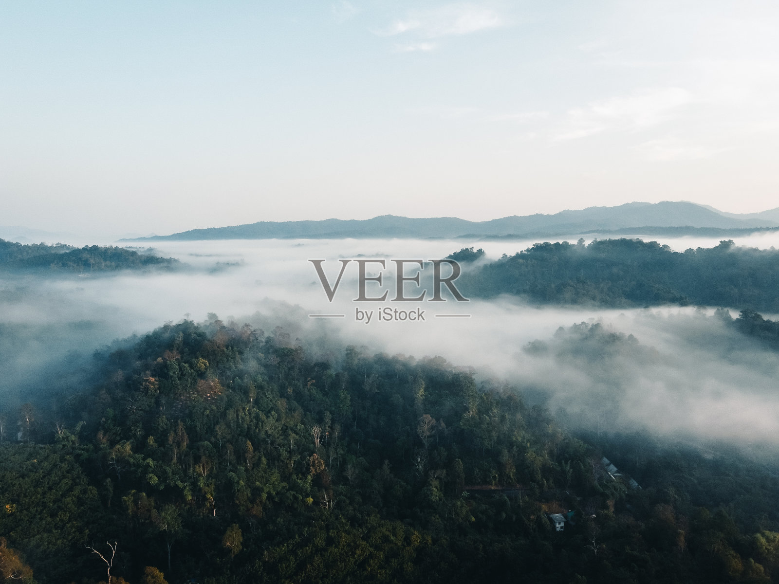 森林里的日出和雾，清晨温暖的阳光照片摄影图片