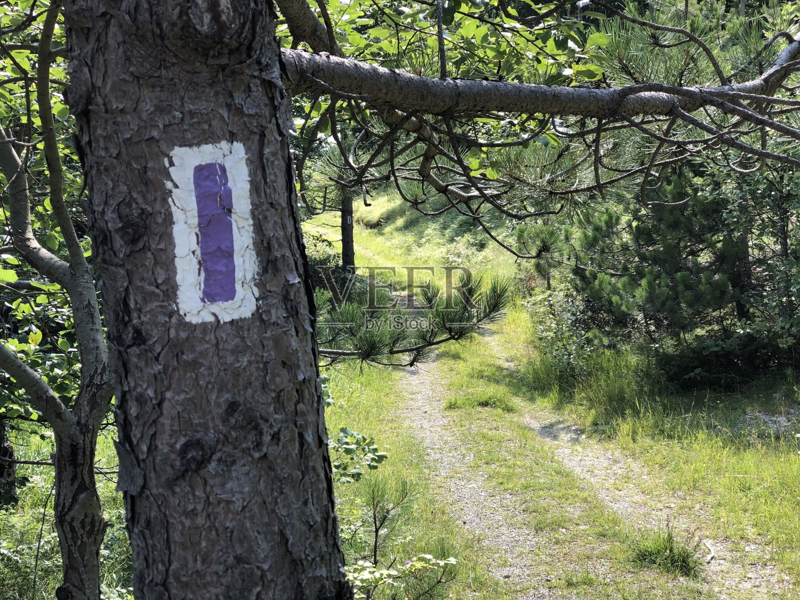 斯特拉齐卡 - 萨帕奇卡土地艺术小径 - 乌卡自然公园， 克罗地亚 / 土地艺术斯塔扎斯特拉希卡 - 萨帕奇卡 - 公园普里罗德乌什卡， 赫瓦特斯卡照片摄影图片