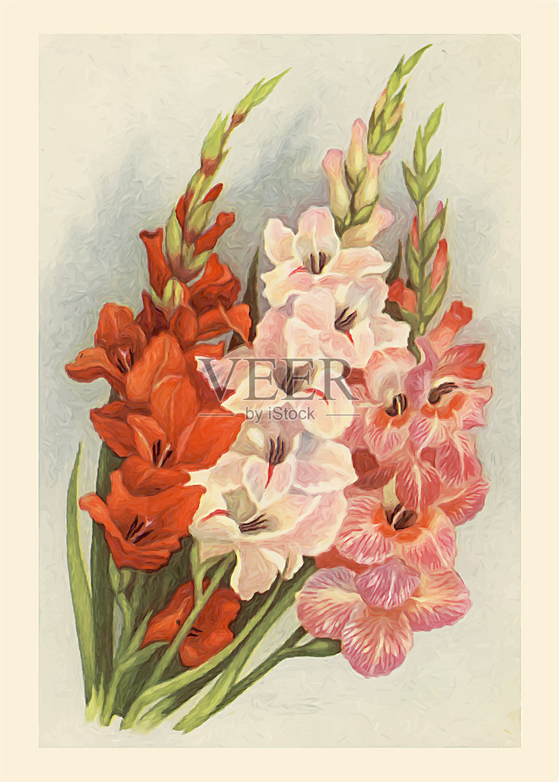 油画美丽的花朵插画图片素材