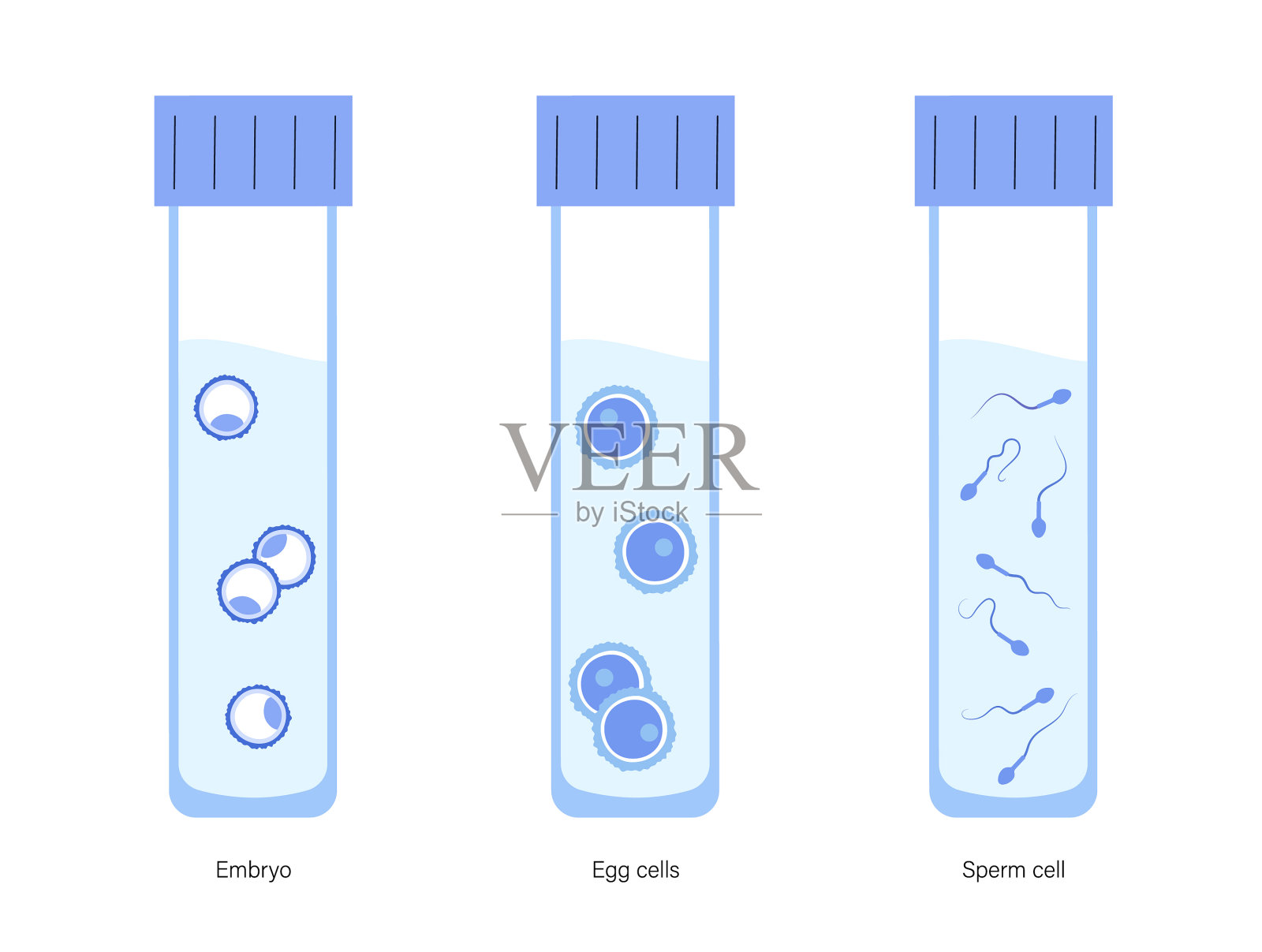生殖系统的概念插画图片素材