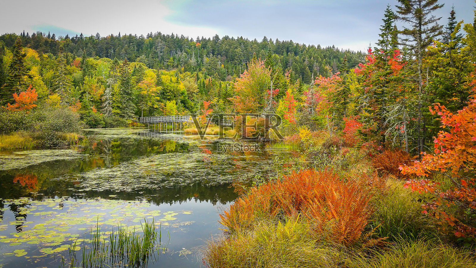 Delage湖(2)照片摄影图片