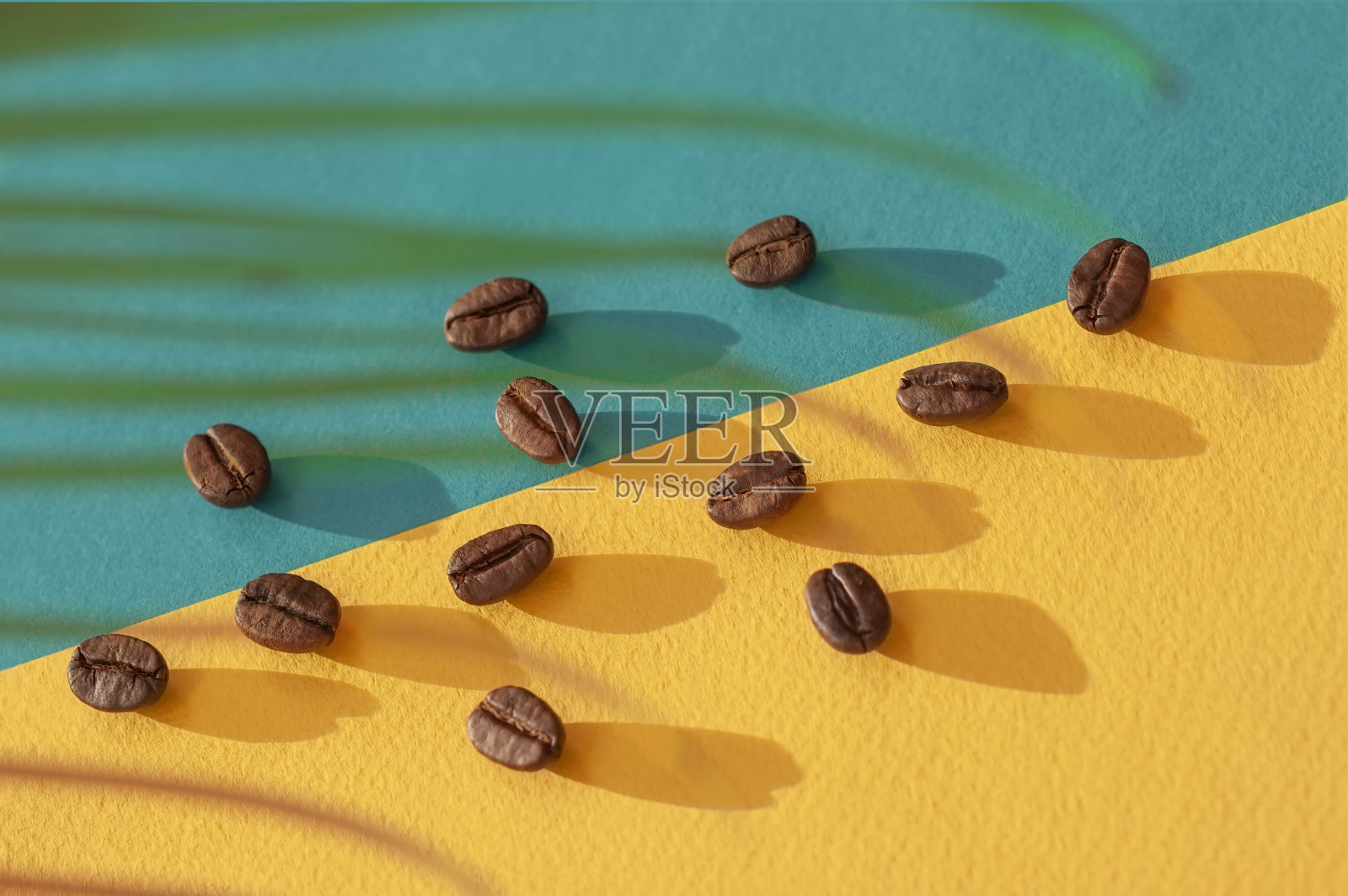 咖啡豆双色背景与棕枝，选择性聚焦照片摄影图片