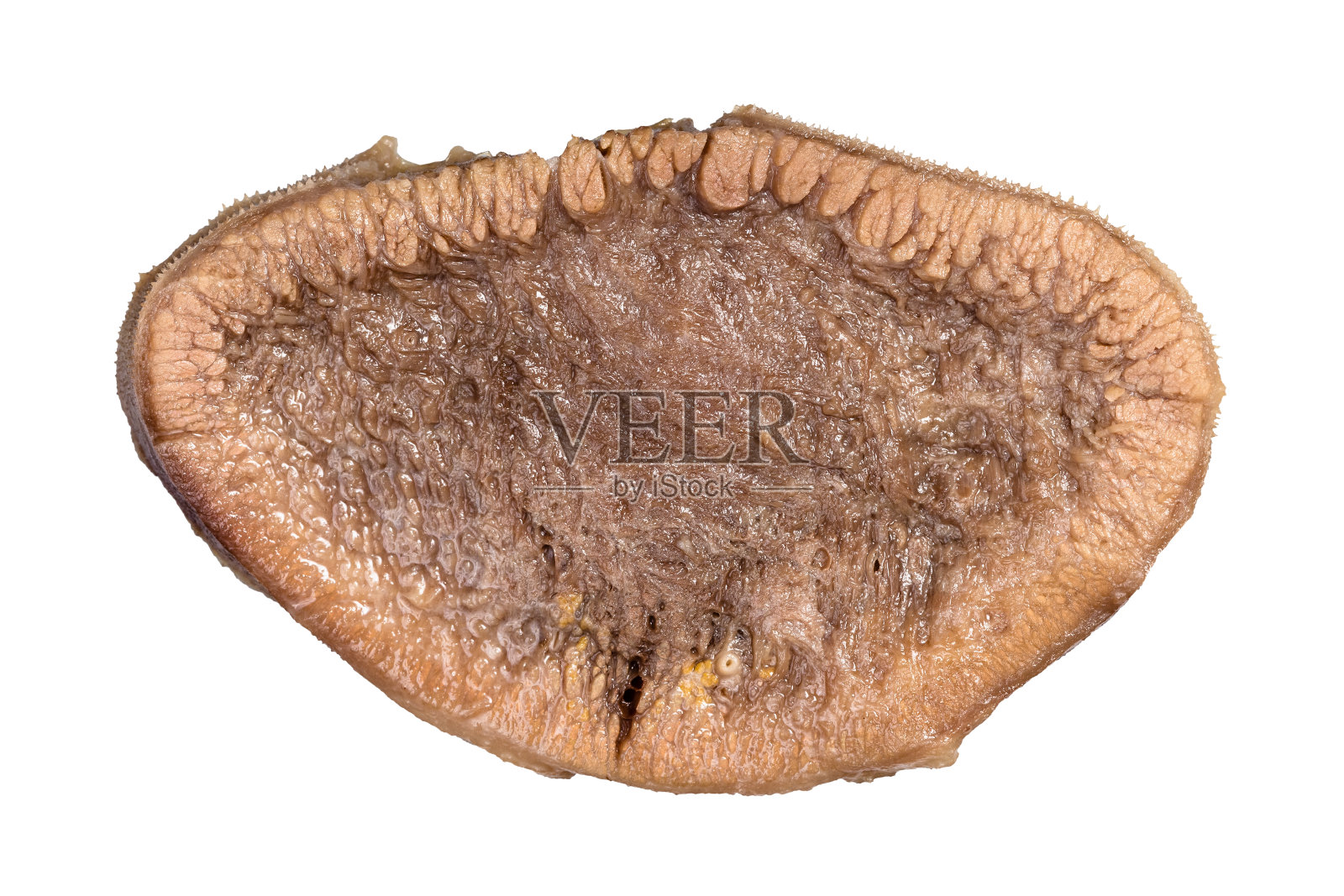 熟牛肉舌片孤立于白色照片摄影图片