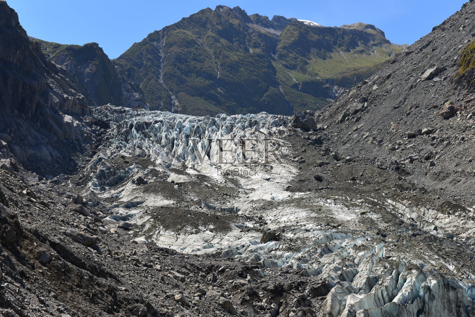 新西兰南岛的狐狸冰川照片摄影图片