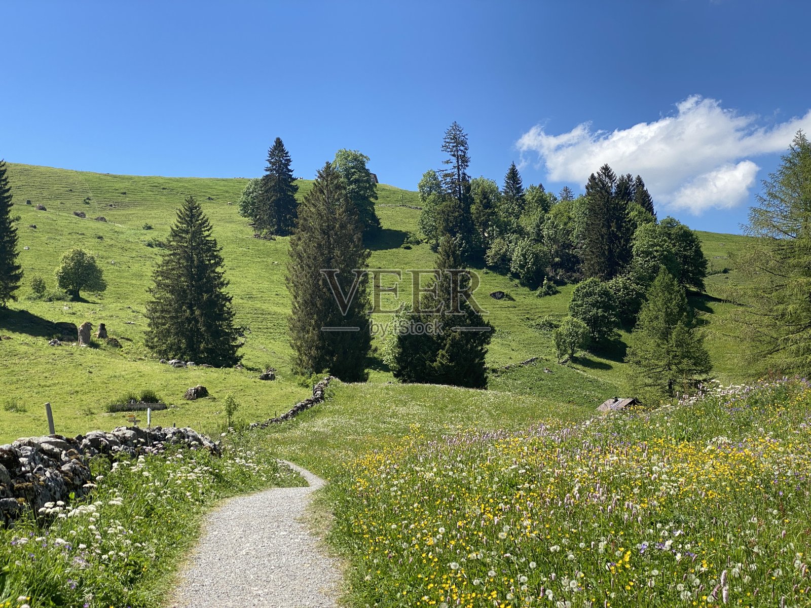 瑞士圣加伦坎顿圣加伦(瑞士)照片摄影图片
