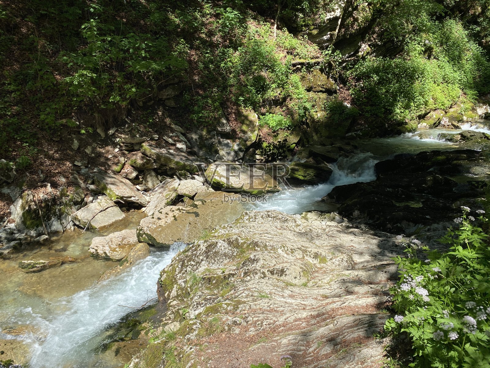 尼斯劳-克鲁曼瑙村的图尔河，或Unterwasser定居点和Obertoggenburg地区的图尔河，瑞士的圣加仑州(瑞士，坎顿圣加仑)照片摄影图片