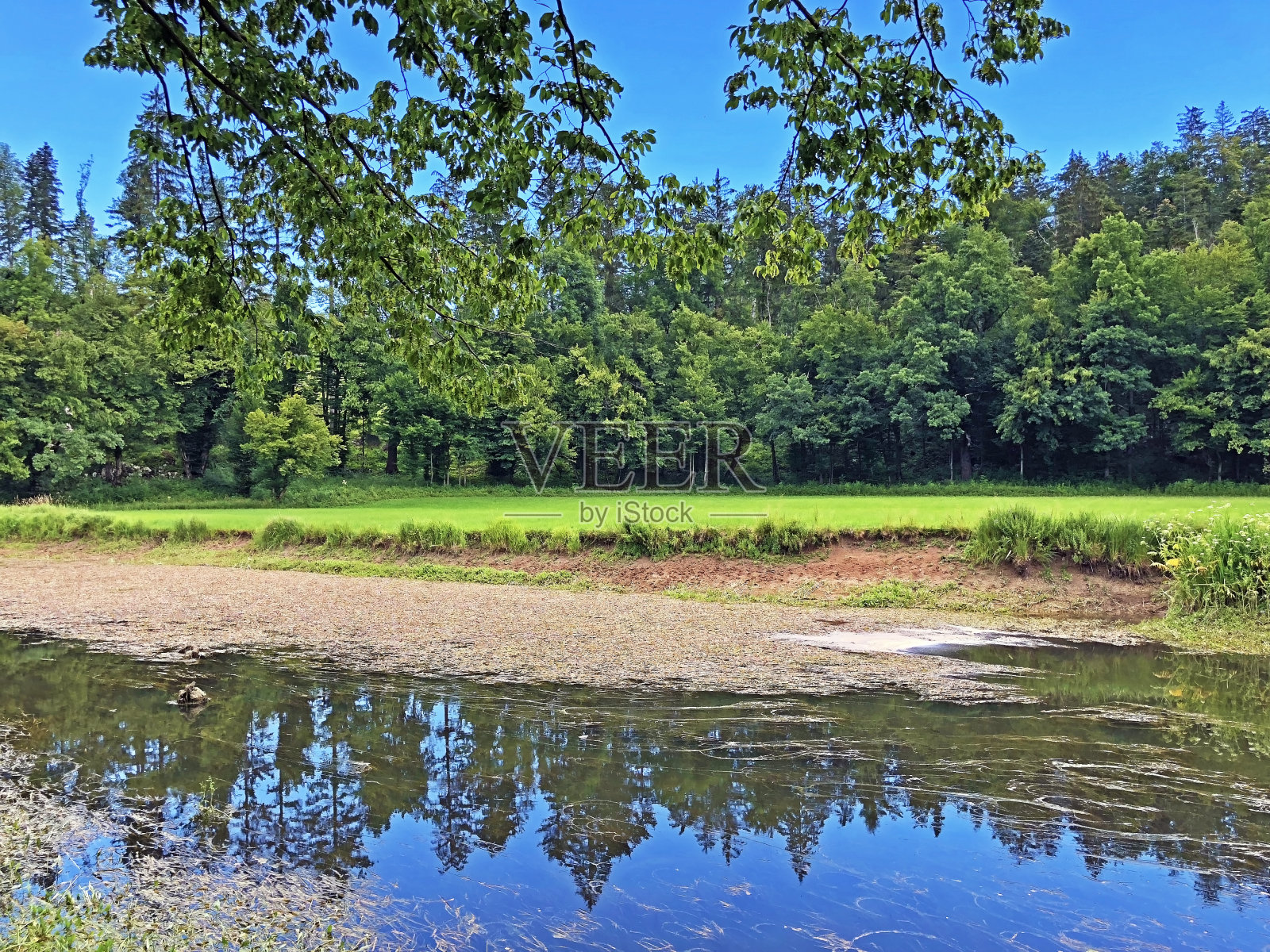 风景如画的Rak河山谷，Cerknica - Notranjska地区公园，斯洛文尼亚(Krajinski Park Rakov Škocjan，斯洛文尼亚)照片摄影图片