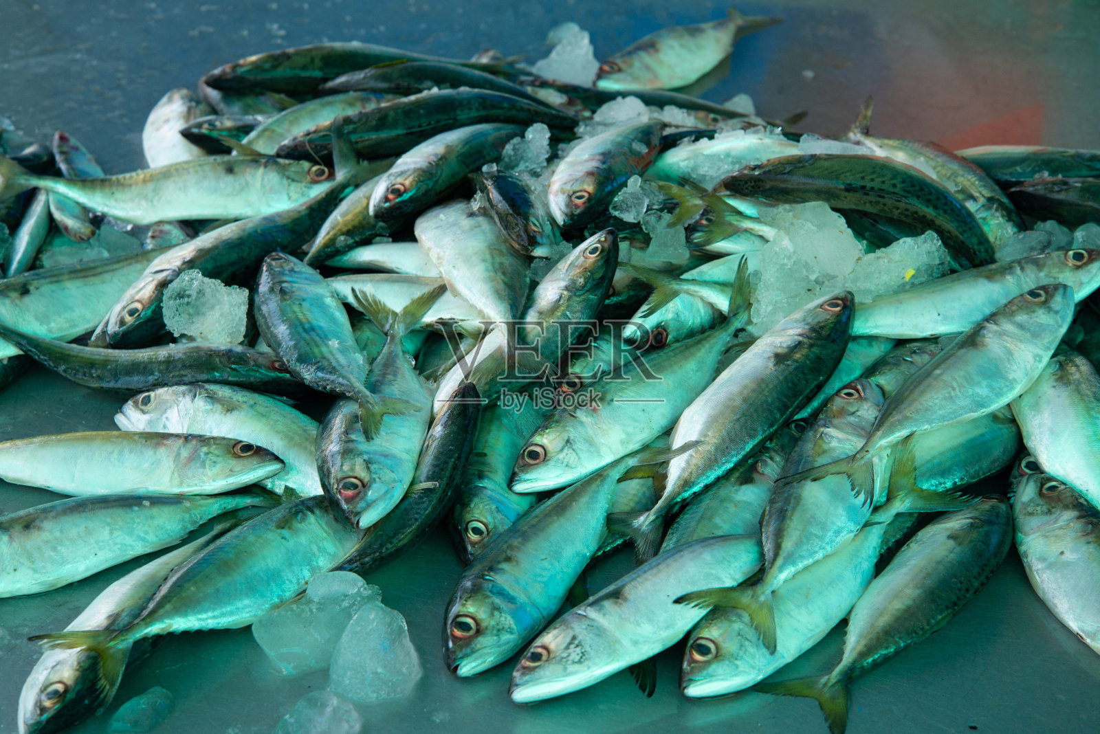 市场上的新鲜鲭鱼照片摄影图片