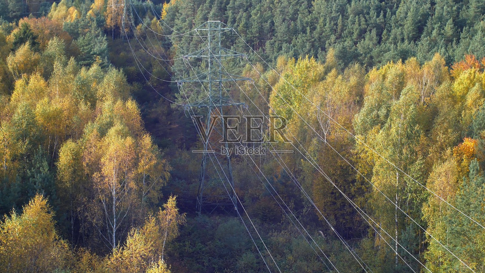 秋季森林内高压输电线路和输电塔架空照片摄影图片