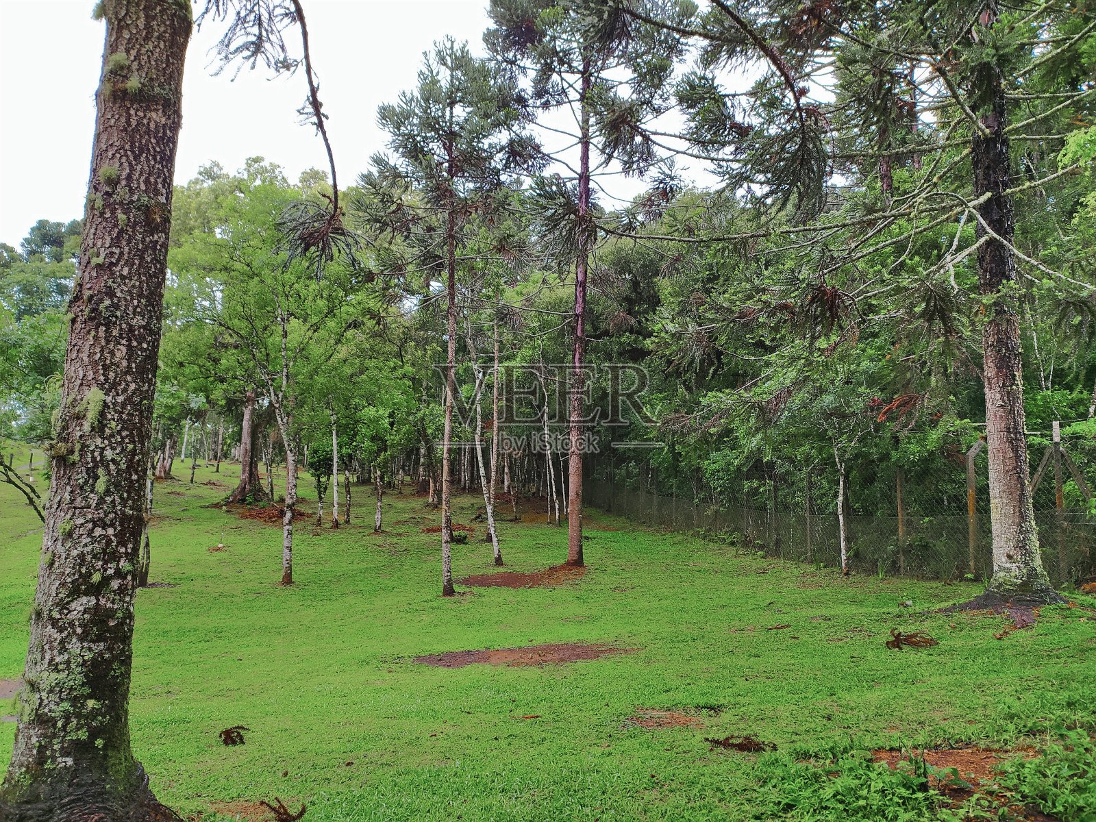 有雨的圣卡塔琳娜景观照片摄影图片