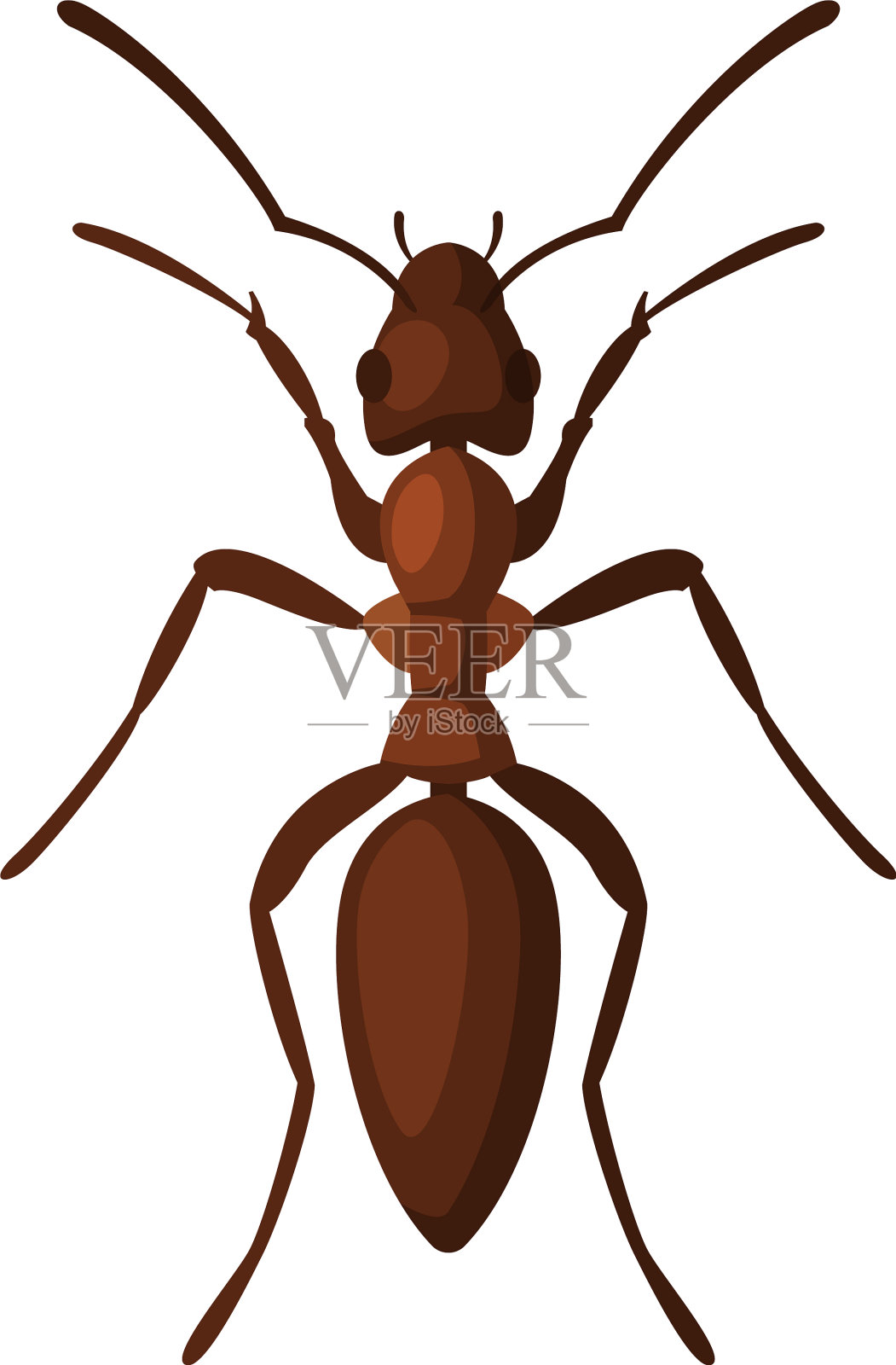 黑园蚂蚁病虫害防治设计元素图片