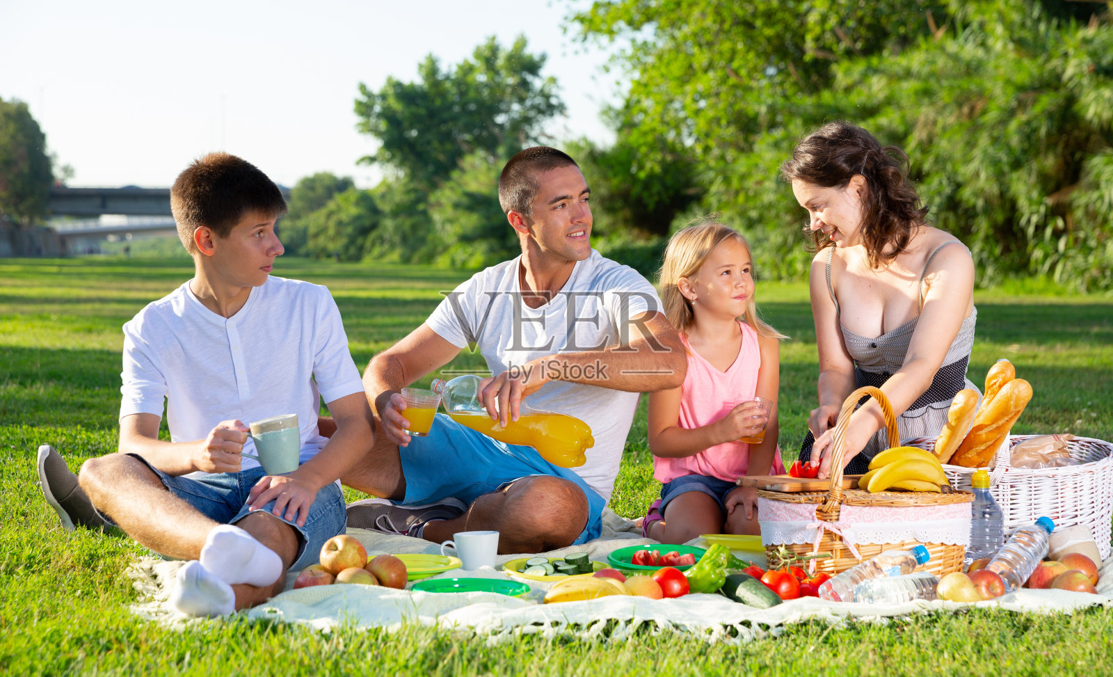 快乐的年轻父母和两个十几岁的孩子在乡下野餐照片摄影图片