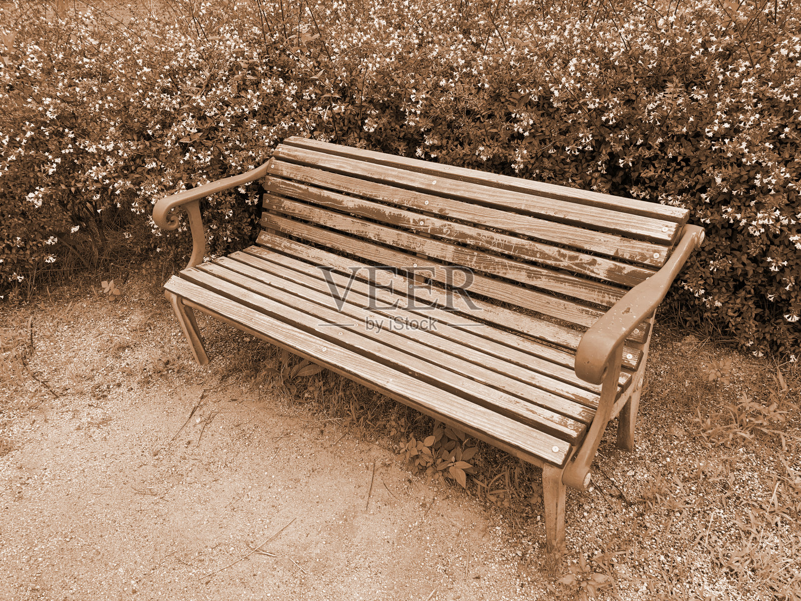 公园里的旧长凳。照片摄影图片