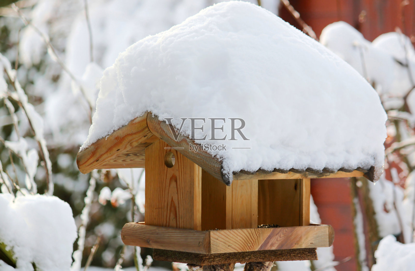 雪屋顶的鸟窝照片摄影图片