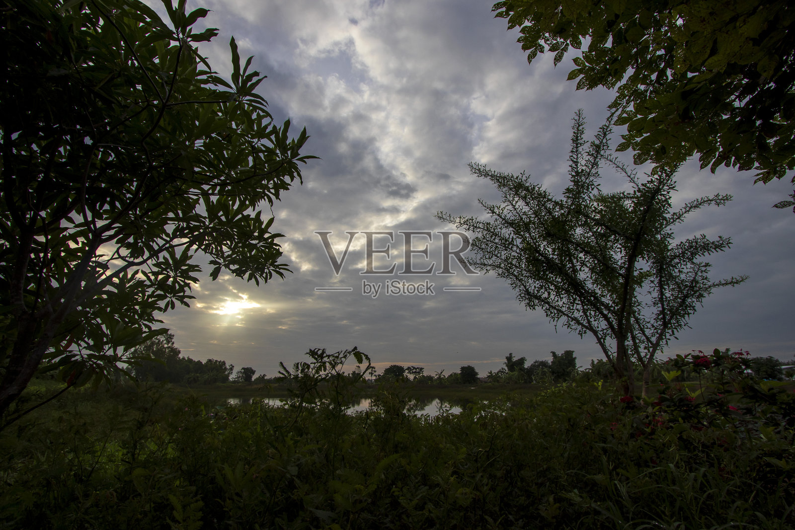 日出美景与美丽的乡村早晨照片摄影图片