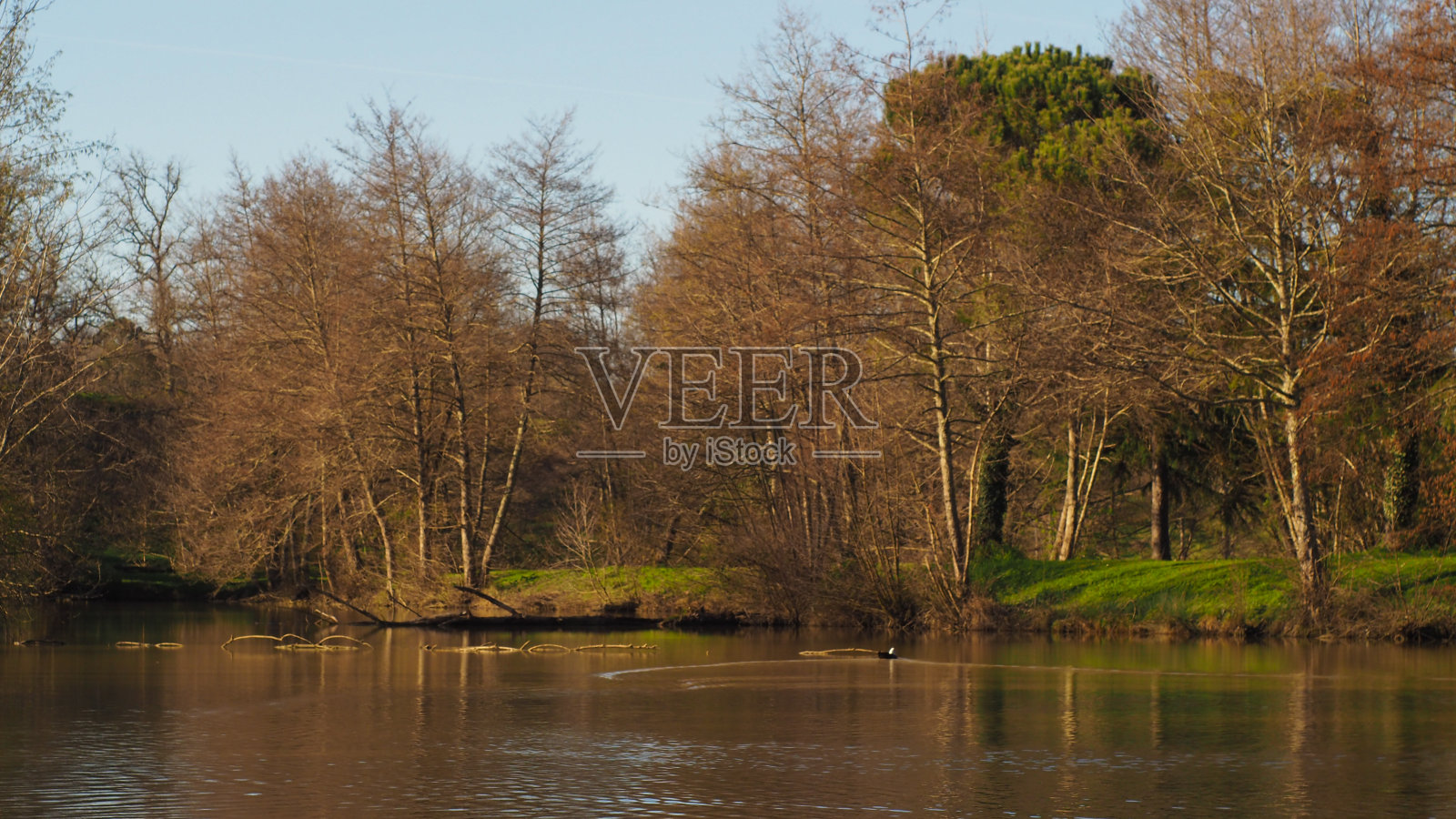 一个令人愉快的格尔风景，在一个池塘的边缘照片摄影图片