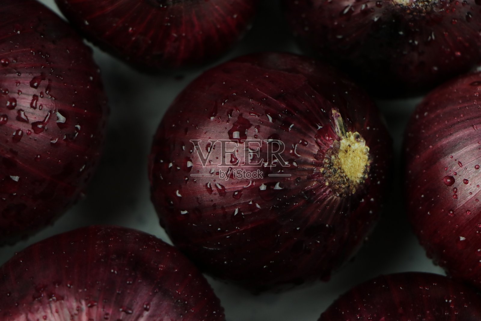 背景是甜红洋葱照片摄影图片