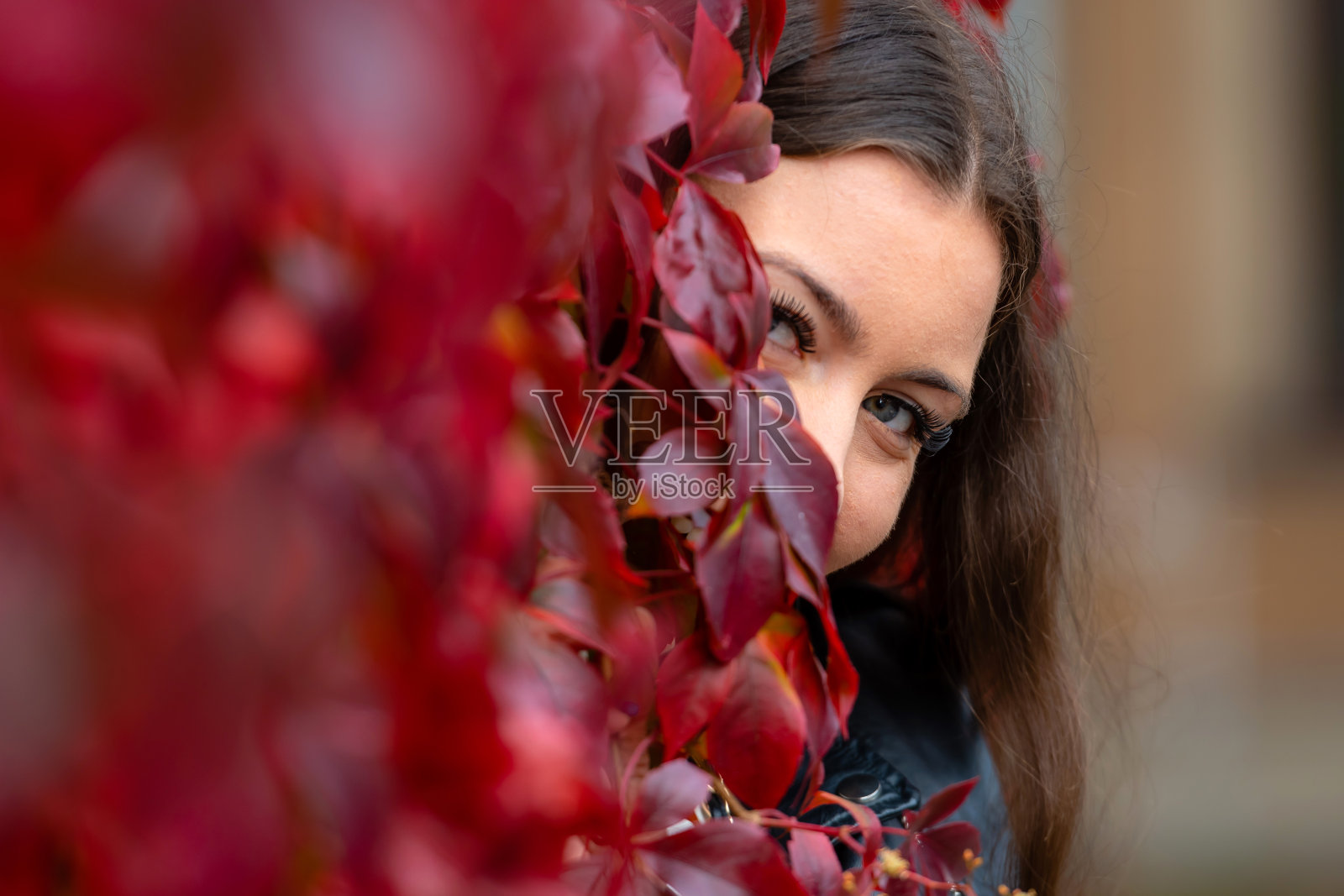 积极轻浮的年轻女子站在常春藤墙，透过红叶看，玩捉迷藏照片摄影图片