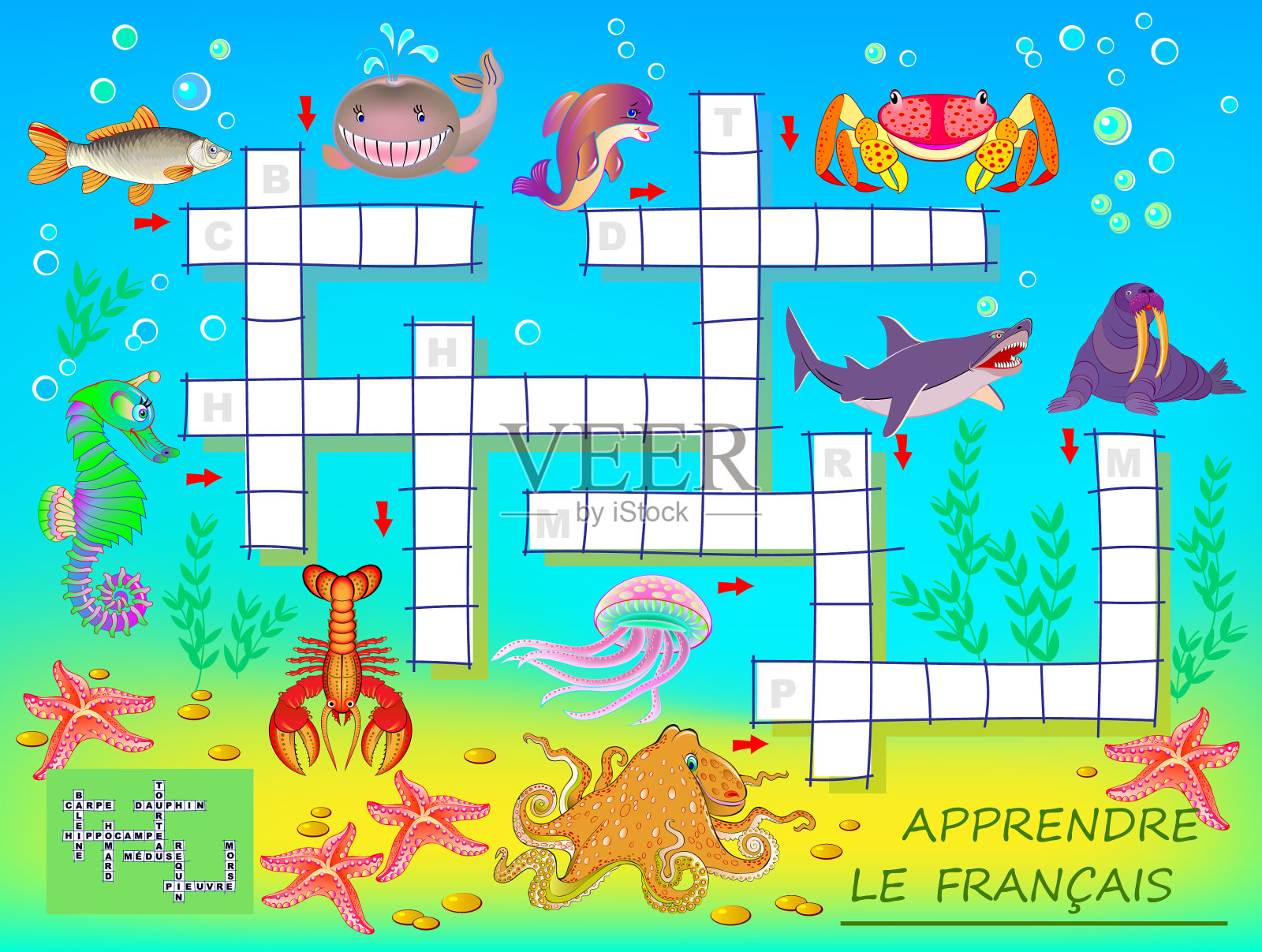 与大海一起学习法语填字游戏插画图片素材