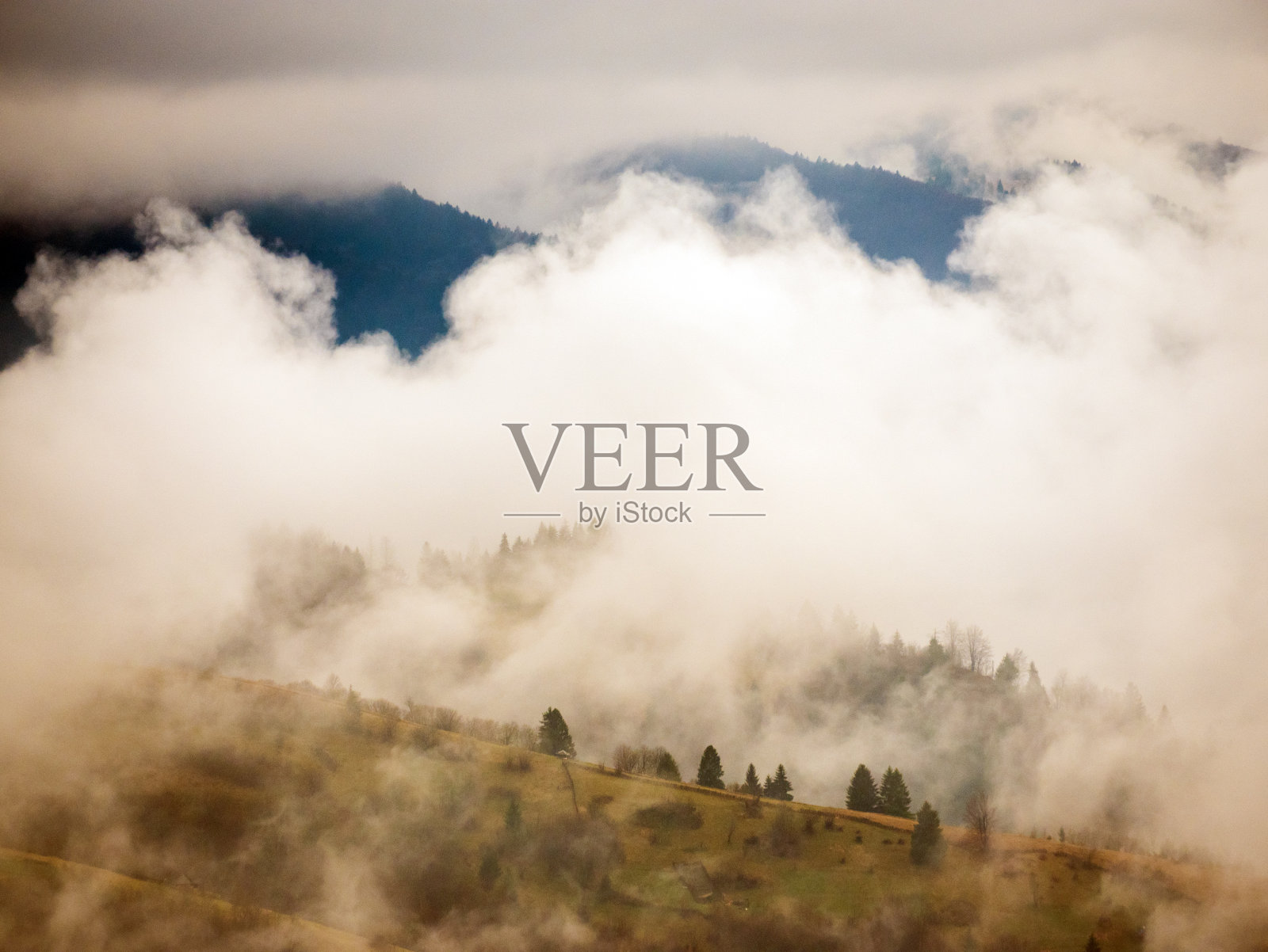 早上去喀尔巴阡。照片摄影图片