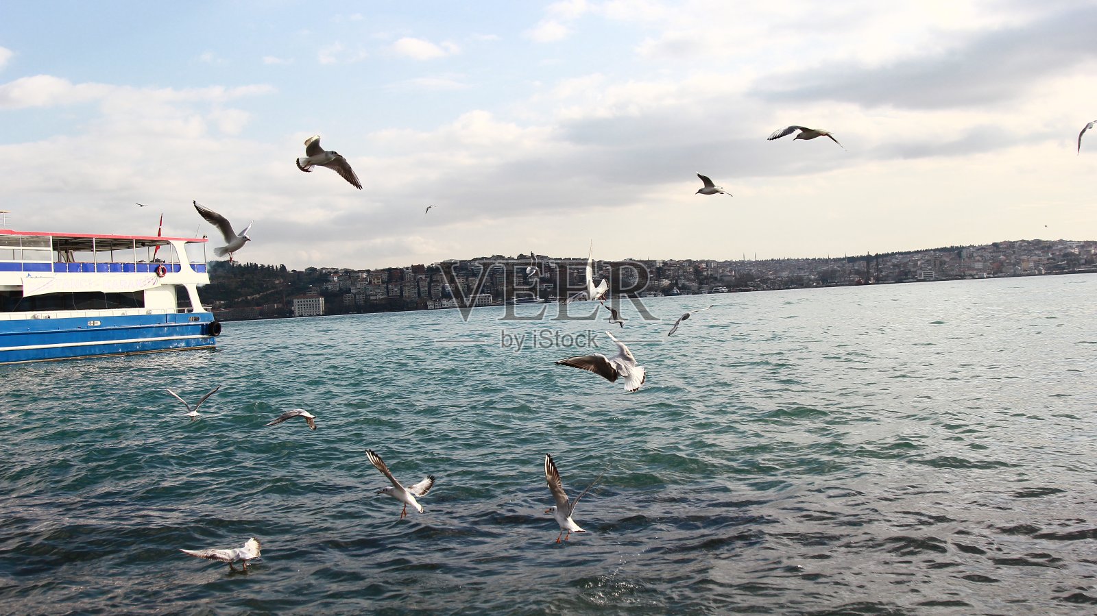 海鸥在海边飞翔。乘渡船旅行的人。照片摄影图片