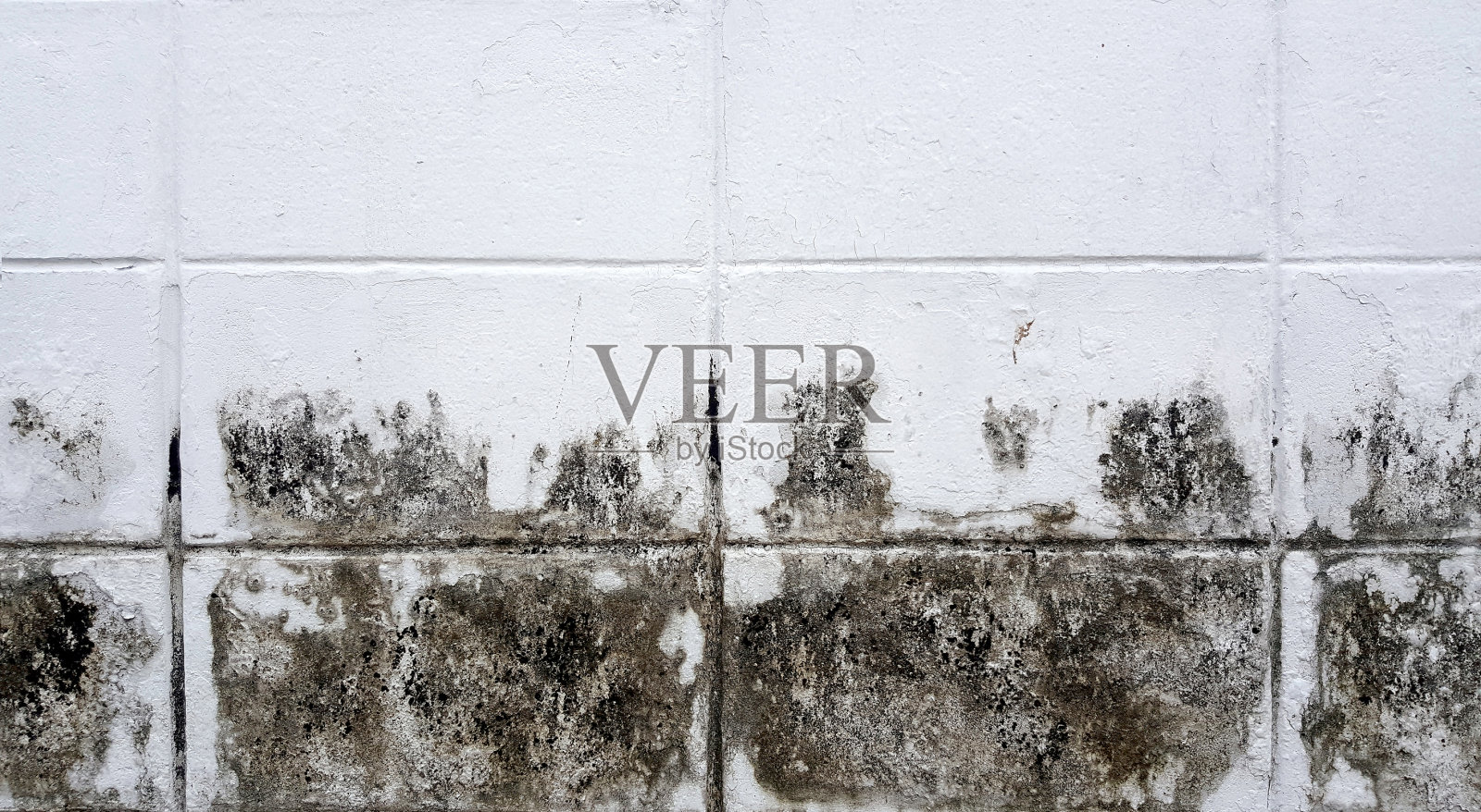 古老的石墙照片摄影图片