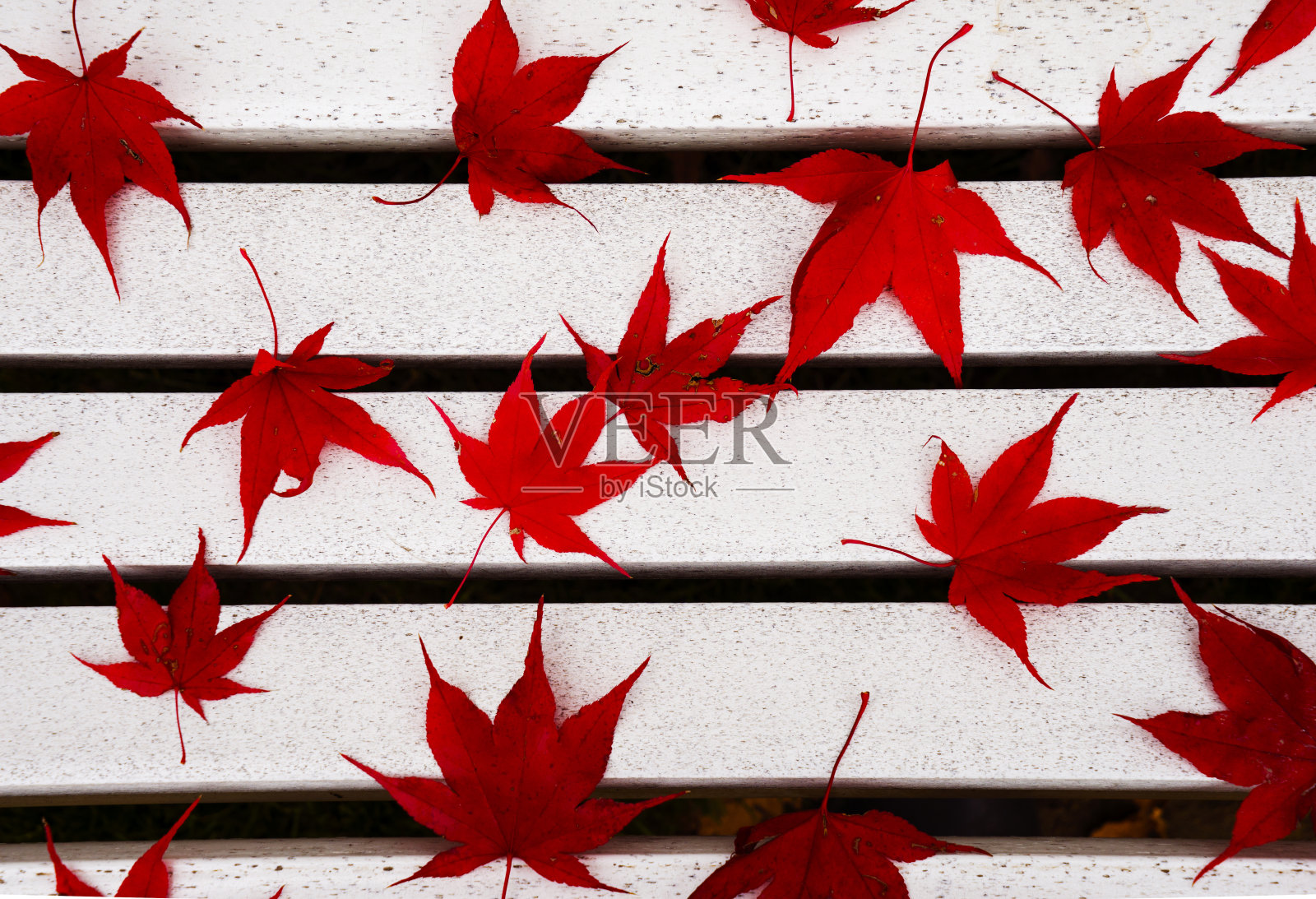 秋天红色的枫叶在白色的长凳上。照片摄影图片