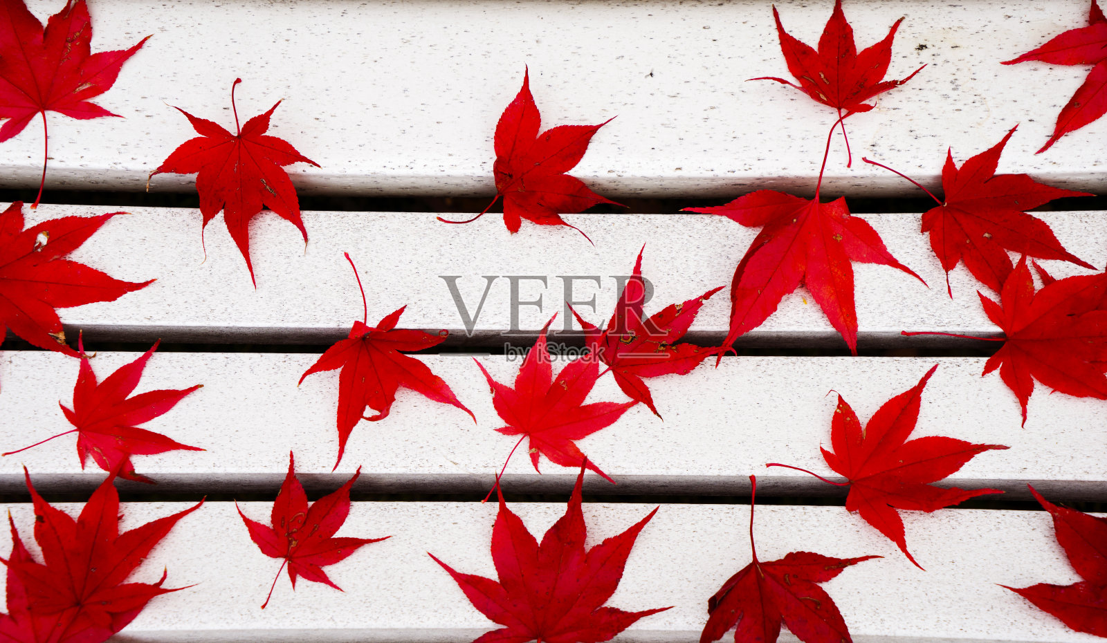 秋天红色的枫叶在白色的长凳上。照片摄影图片