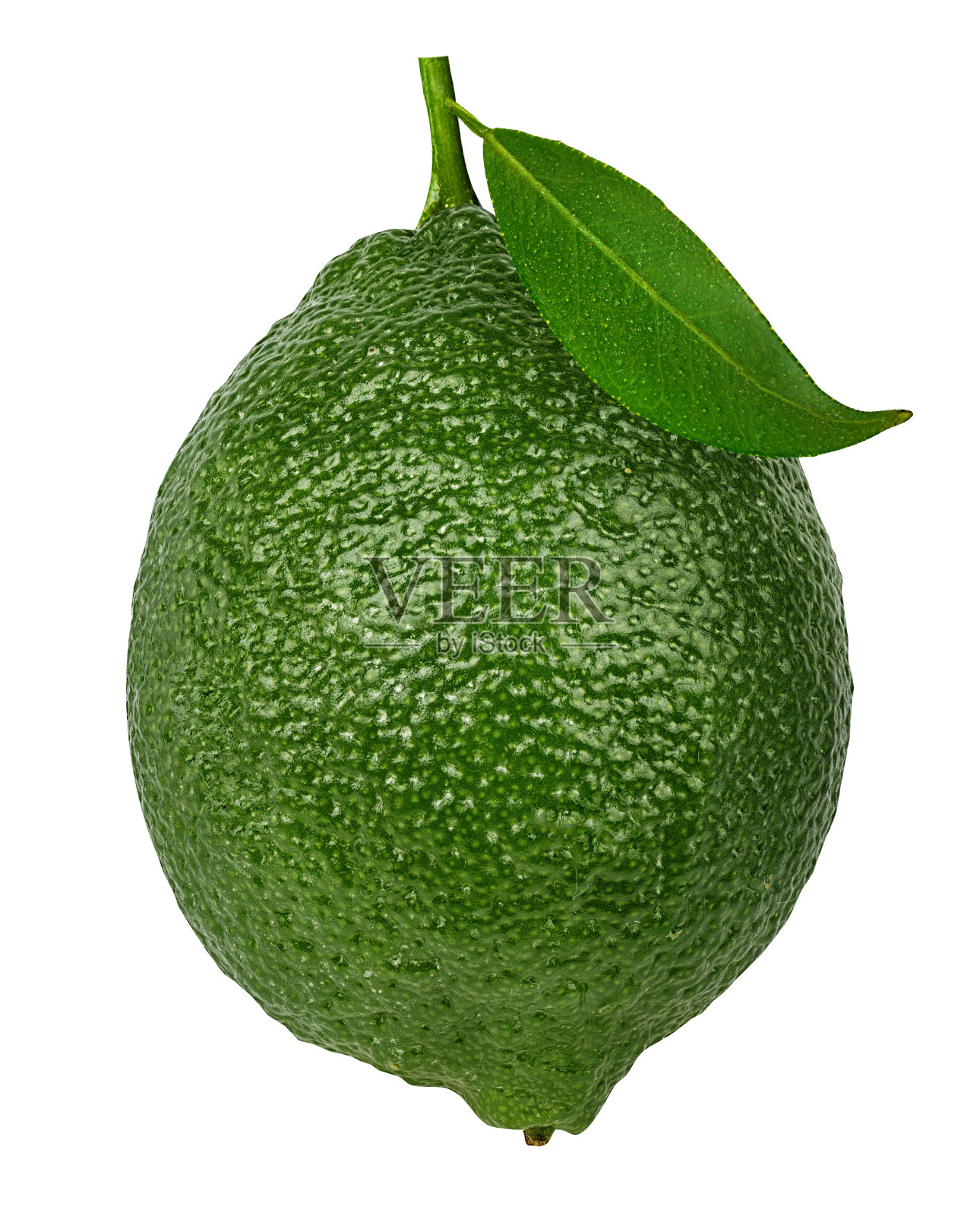 石灰孤立与叶在白色背景与修剪路径照片摄影图片