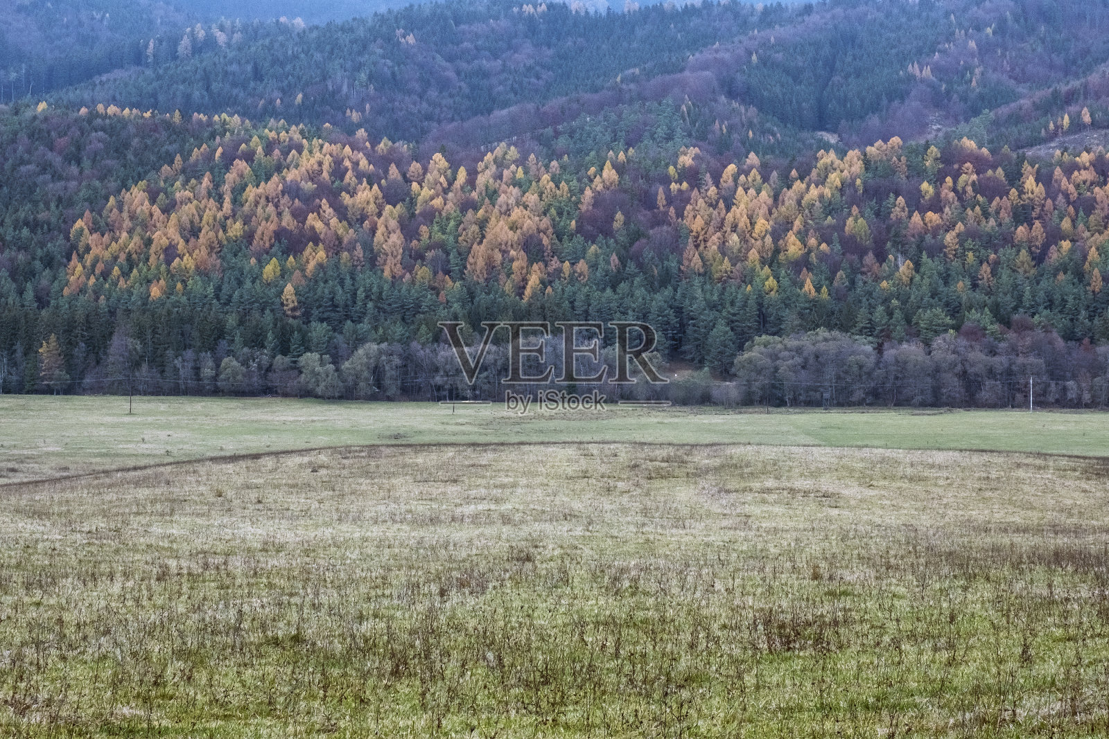 秋天的景色，小法特拉，斯洛伐克照片摄影图片