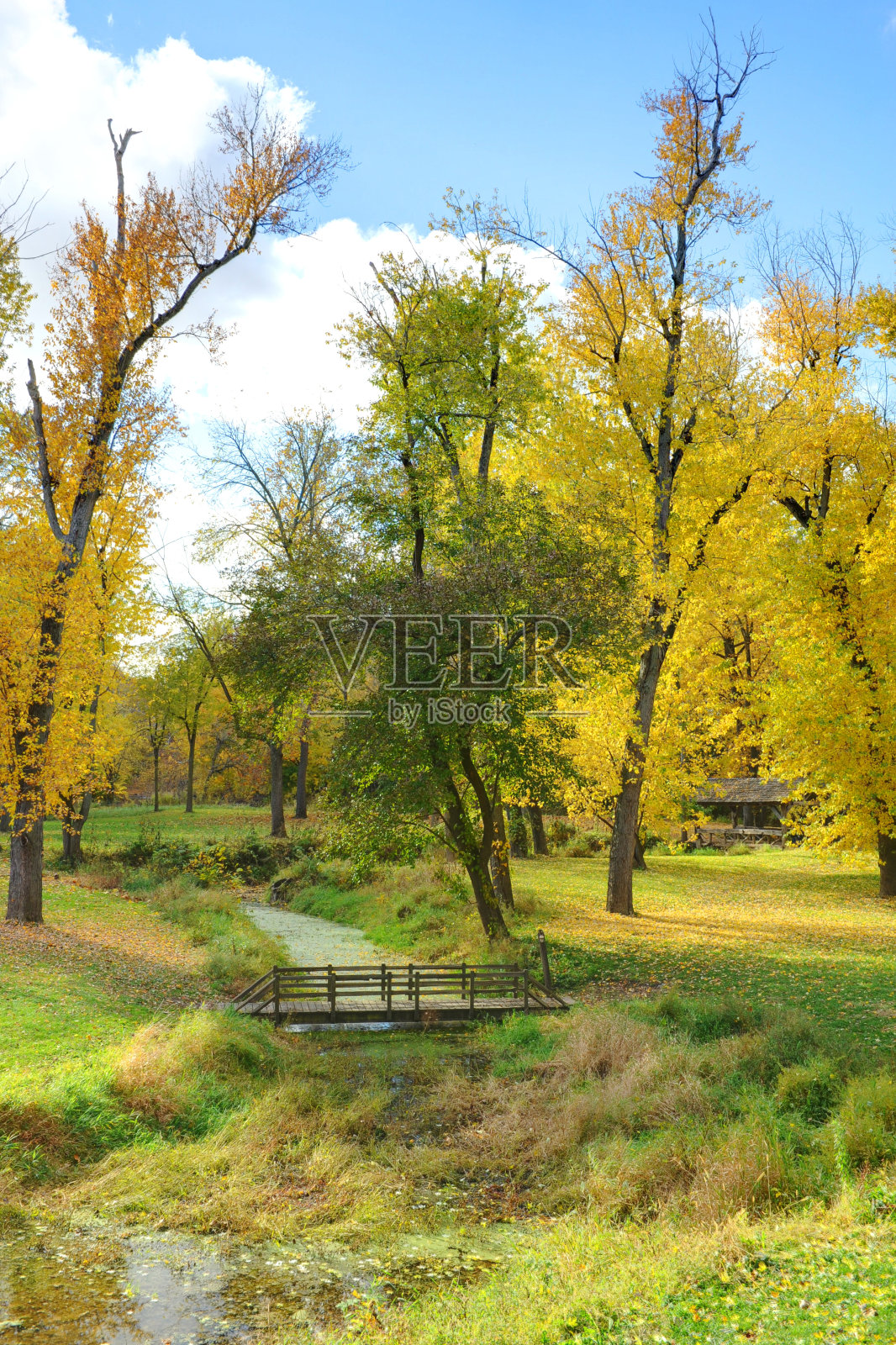 行走桥在印第安纳州的秋天克林顿县照片摄影图片