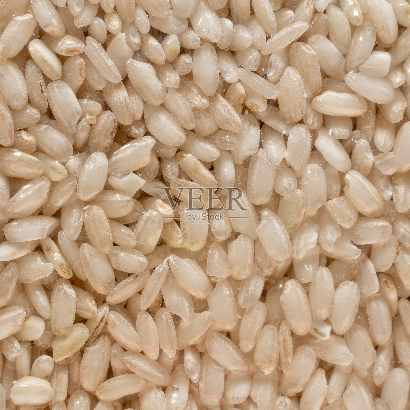 米粒细节照片摄影图片