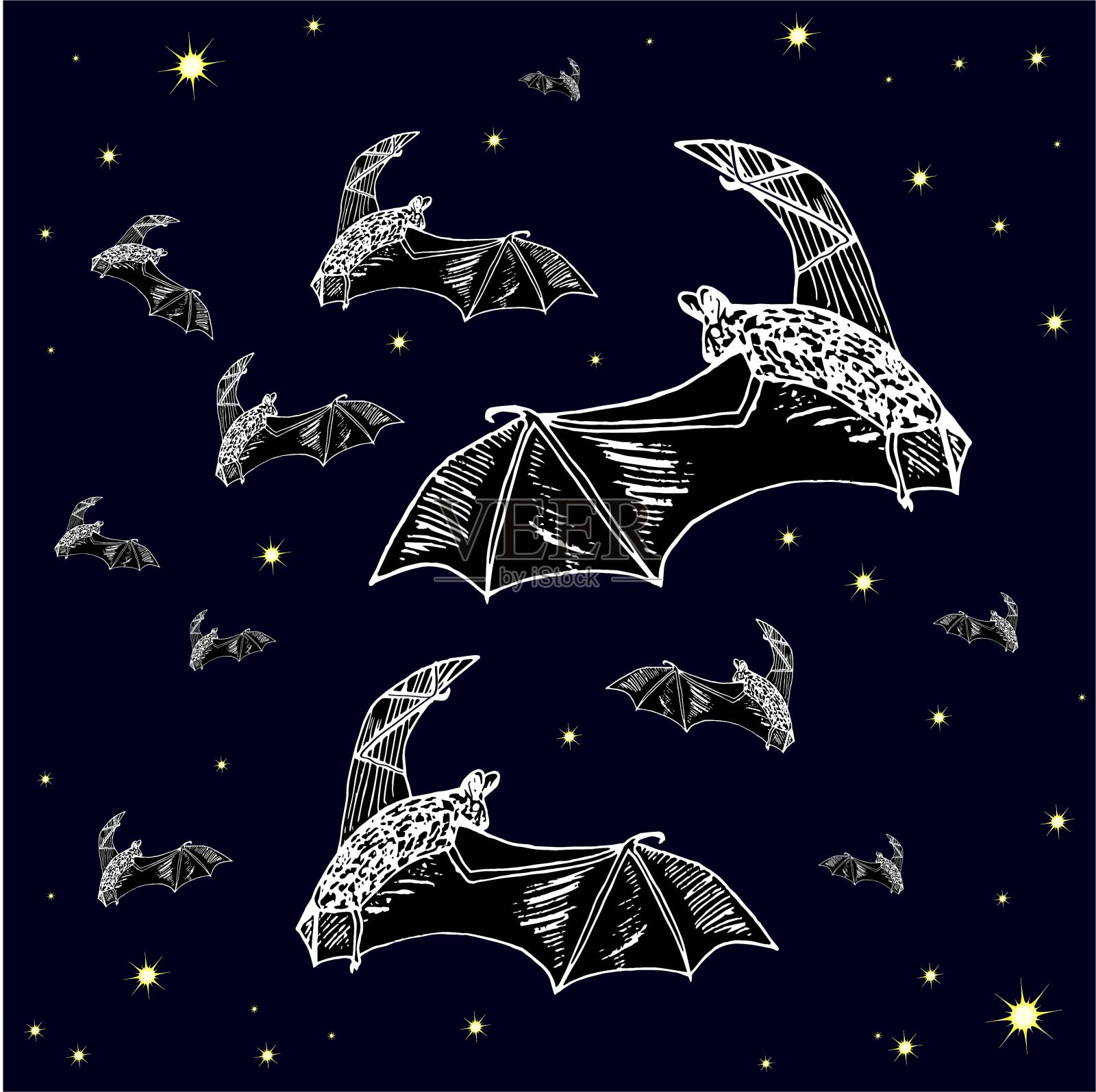 蝙蝠轮廓的背景上星空艺术设计股票矢量插图插画图片素材