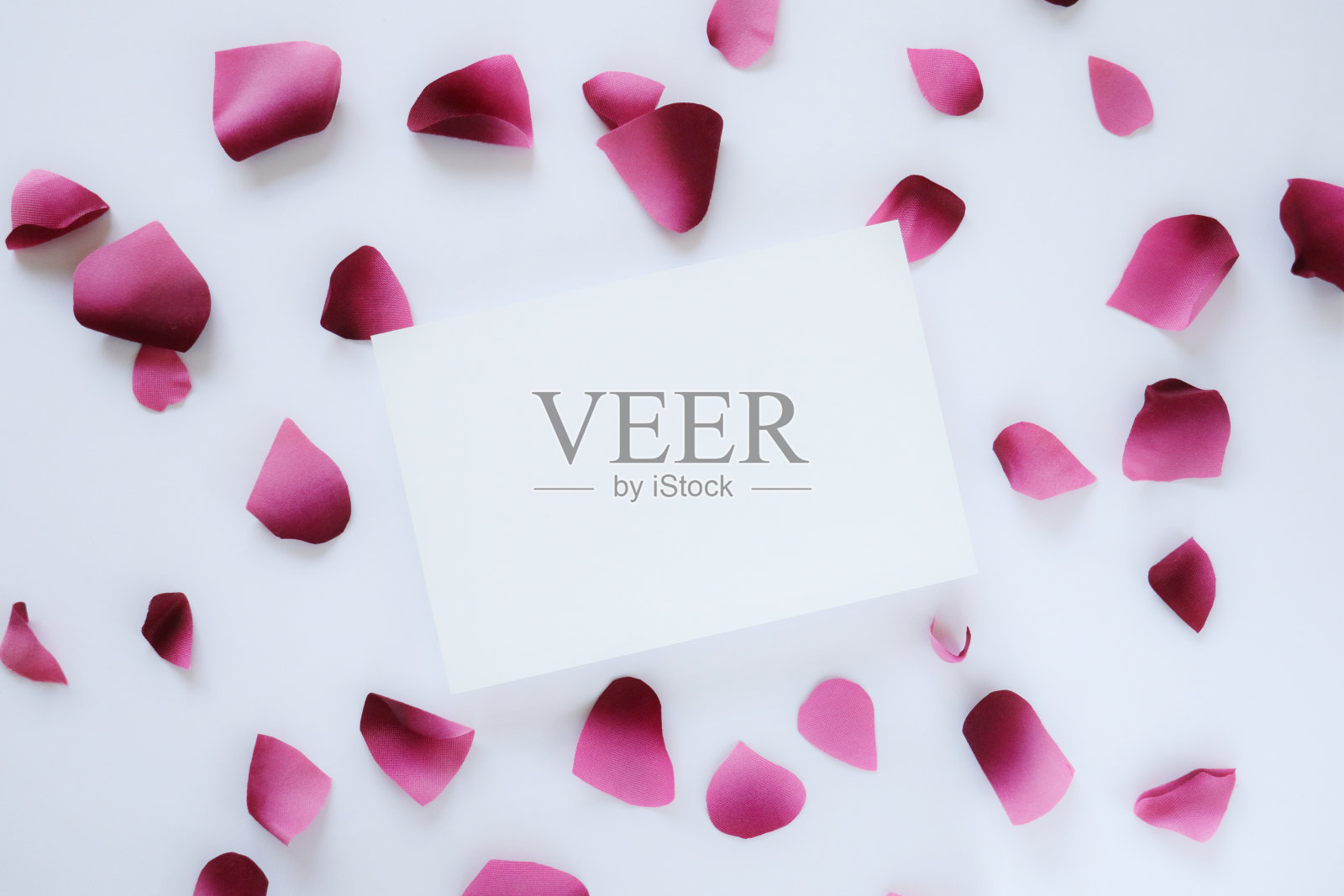 卡片周围环绕着粉红色的人造花瓣。照片摄影图片