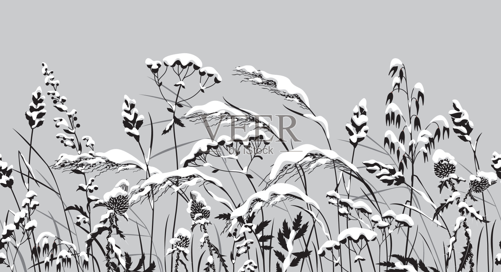 无缝水平边界与积雪覆盖的植物插画图片素材