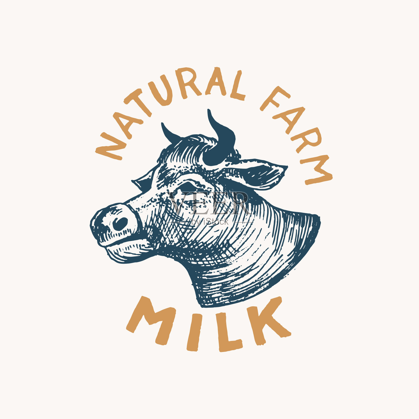 牛奶标签vintage cow标志为商店牛插画图片素材